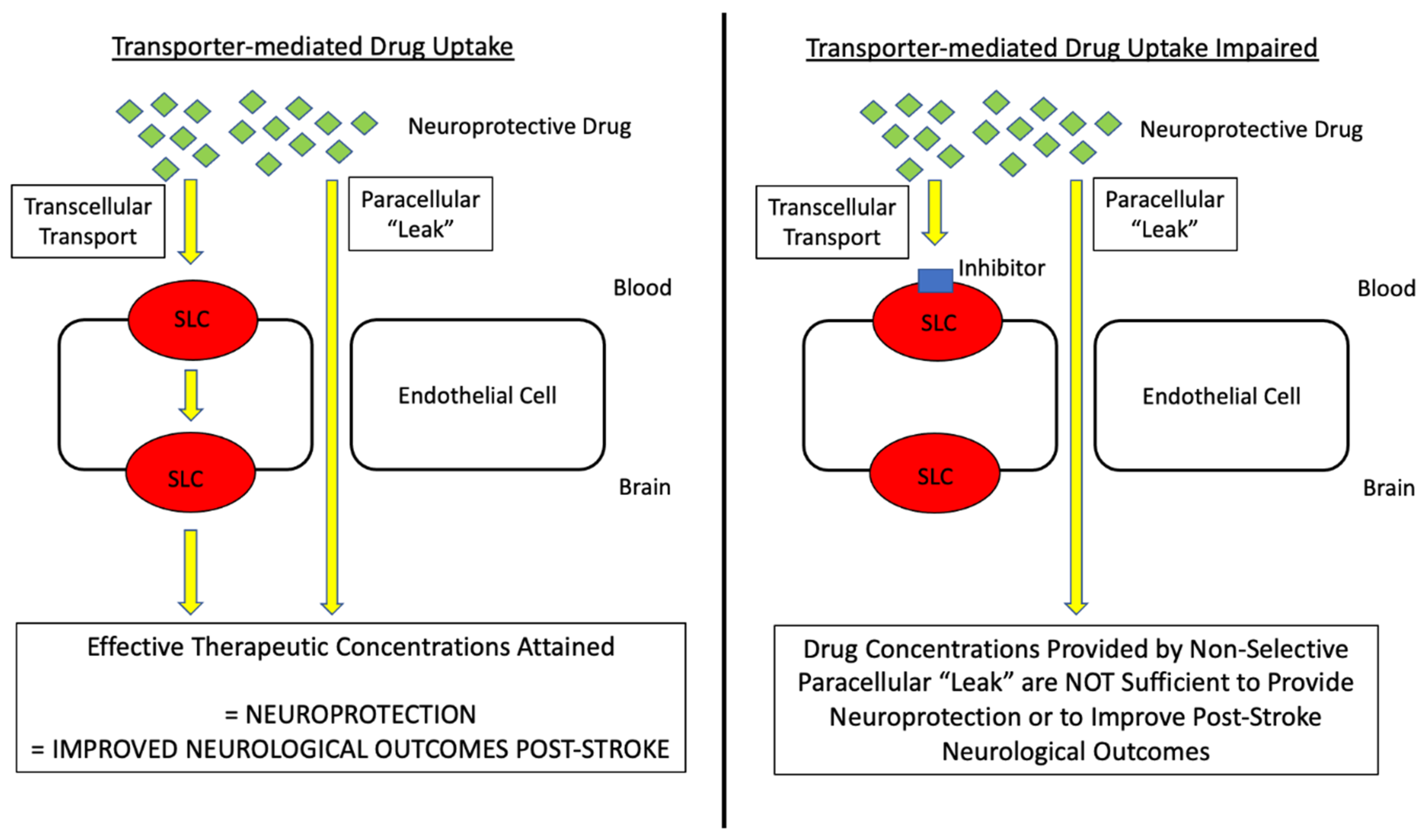 Pharmaceutics 14 01501 g005 Pharmaceutics 14 01501 g005