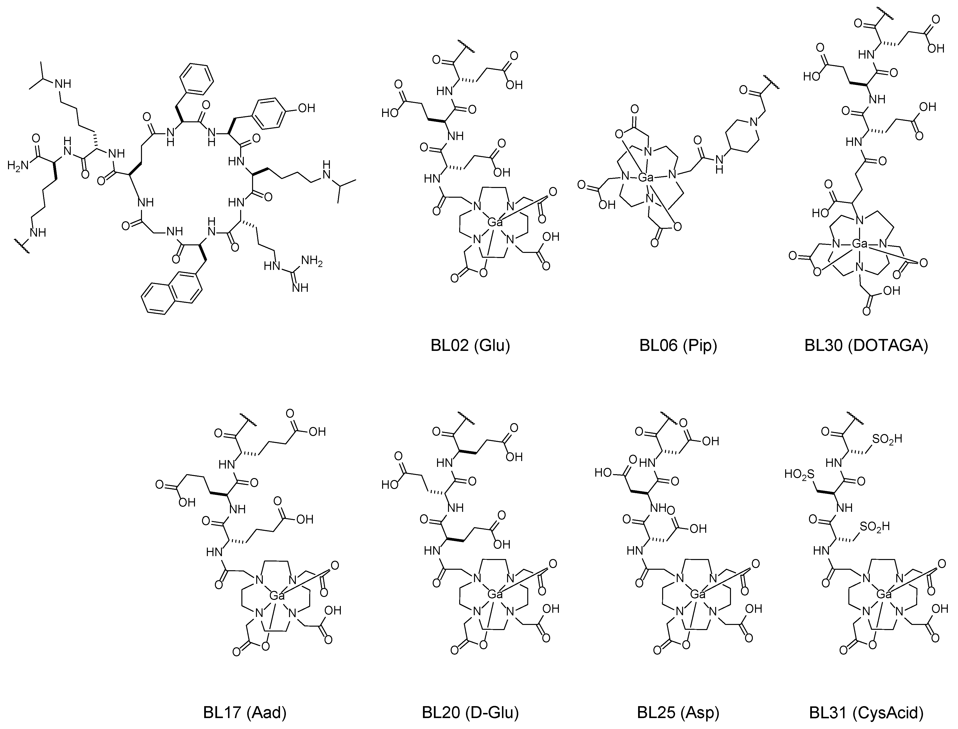 Pharmaceutics 14 01502 g001