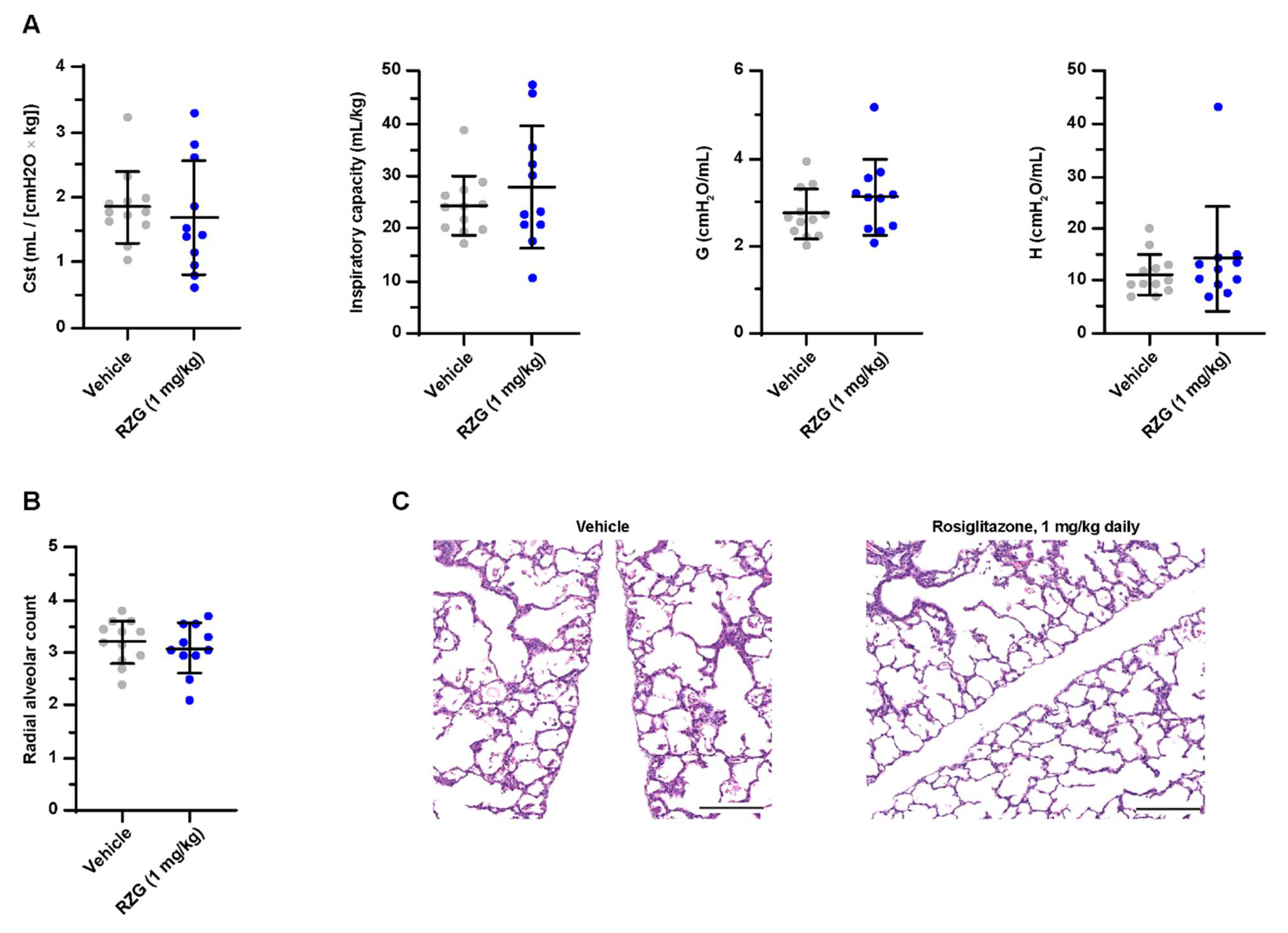 Pharmaceutics 14 01507 g003