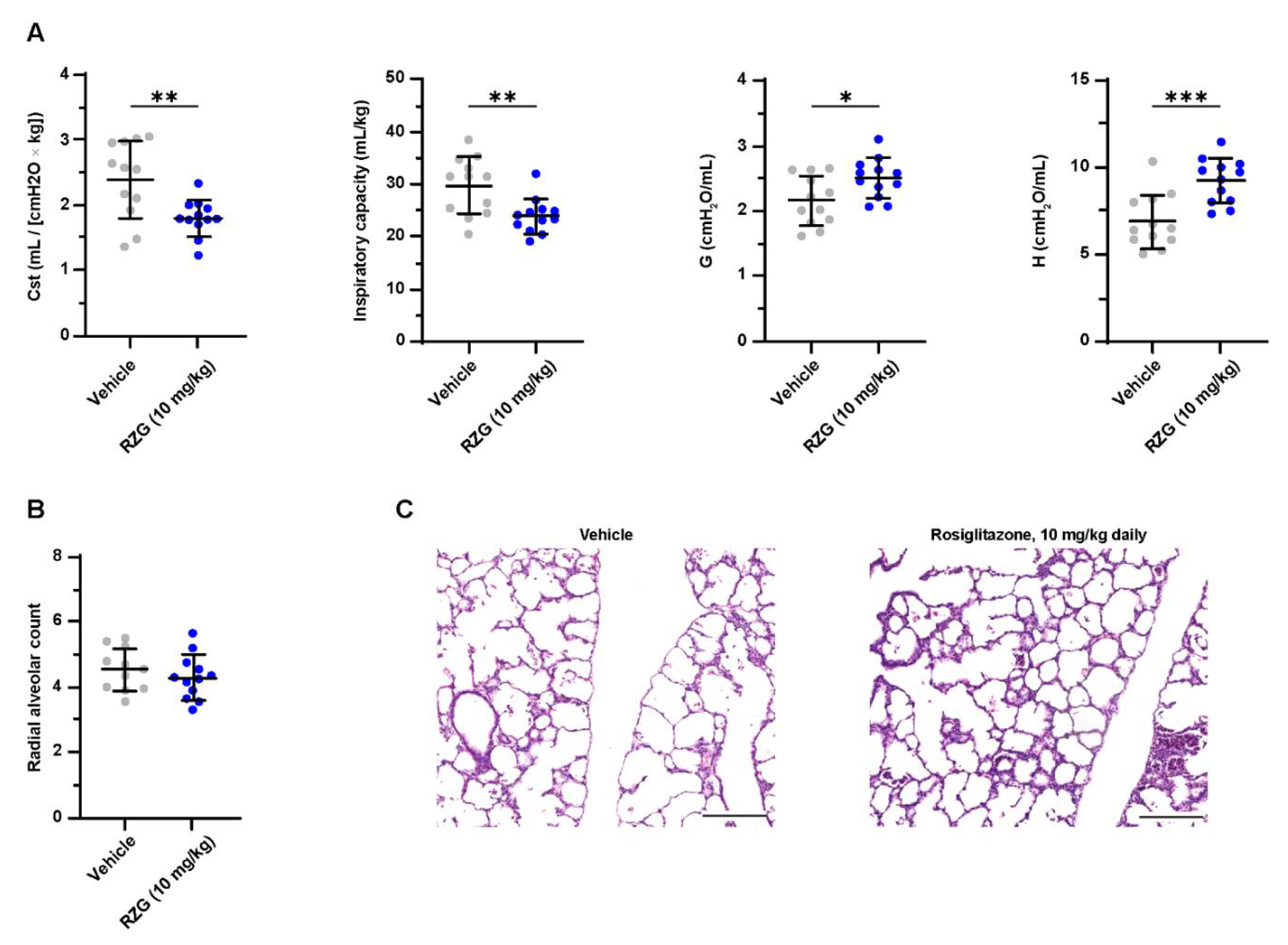 Pharmaceutics 14 01507 g005