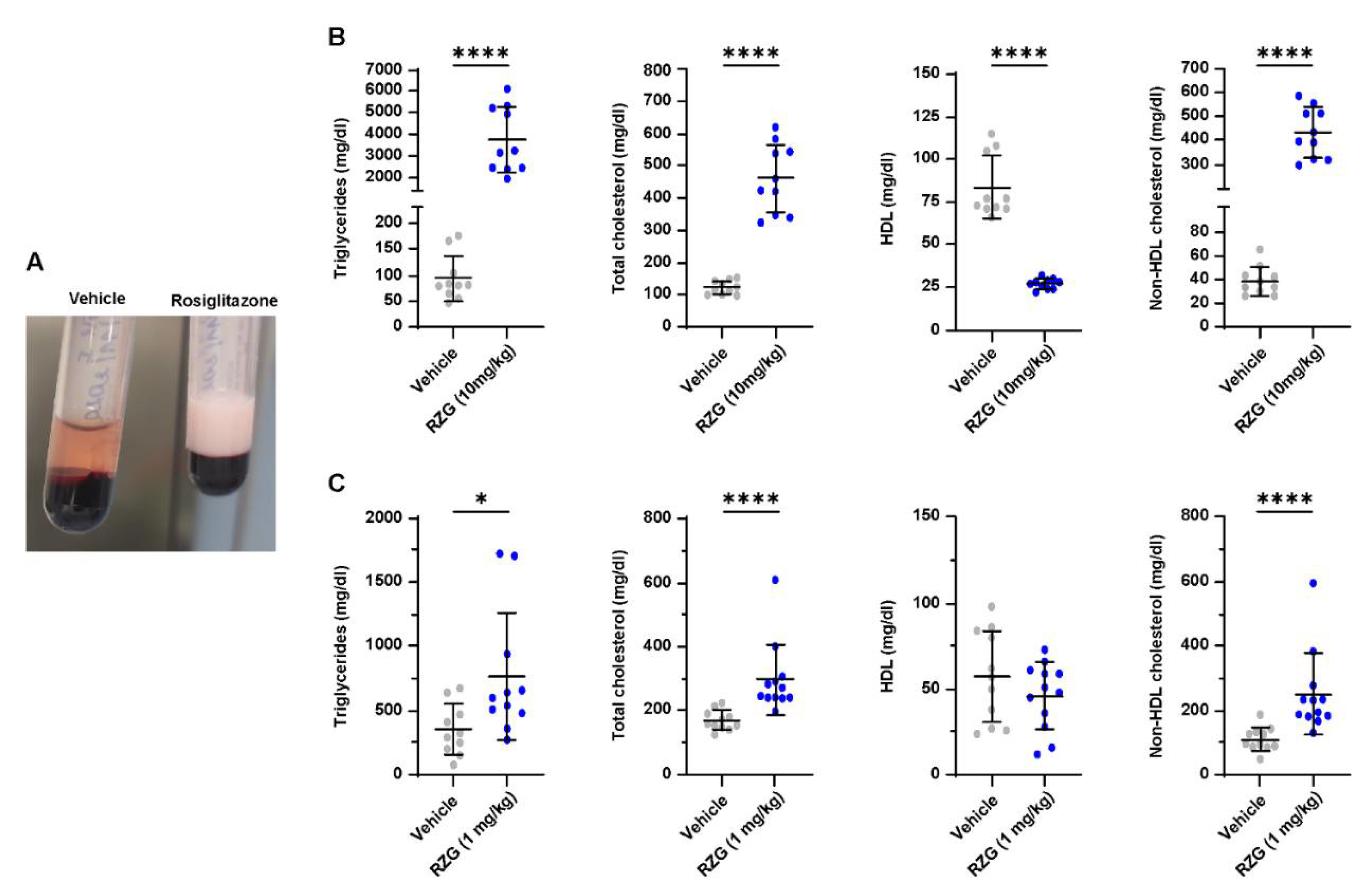 Pharmaceutics 14 01507 g006