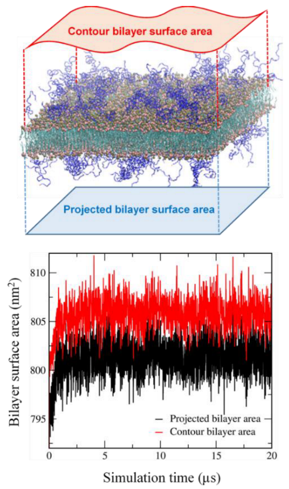 Pharmaceutics 14 01512 g009 550
