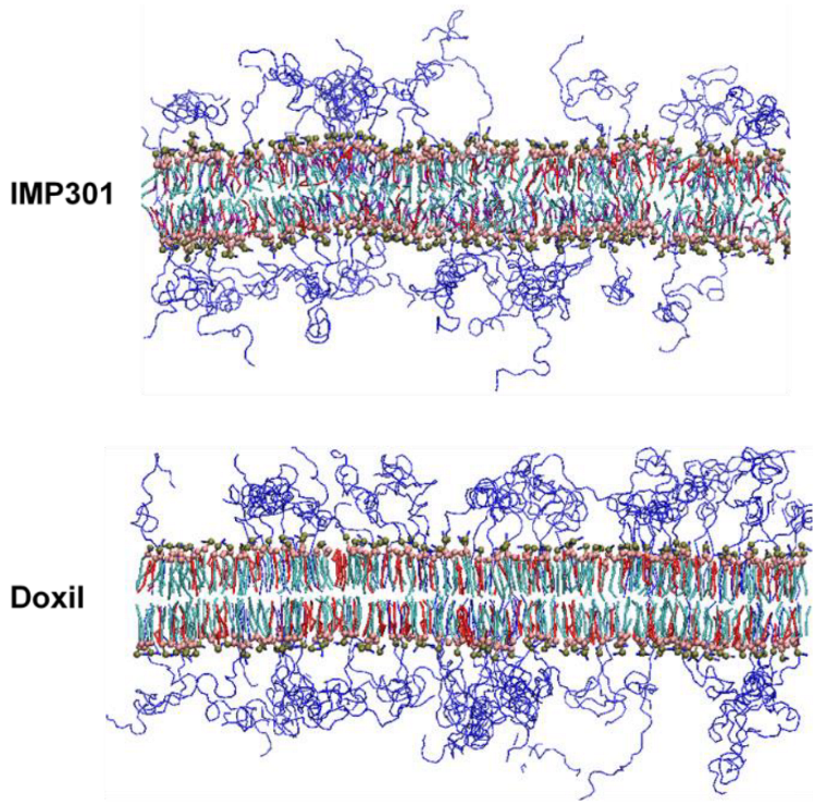 Pharmaceutics 14 01512 g012 550