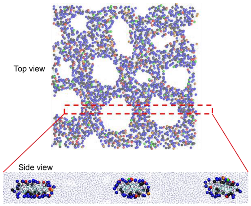 Pharmaceutics 14 01512 g015 550