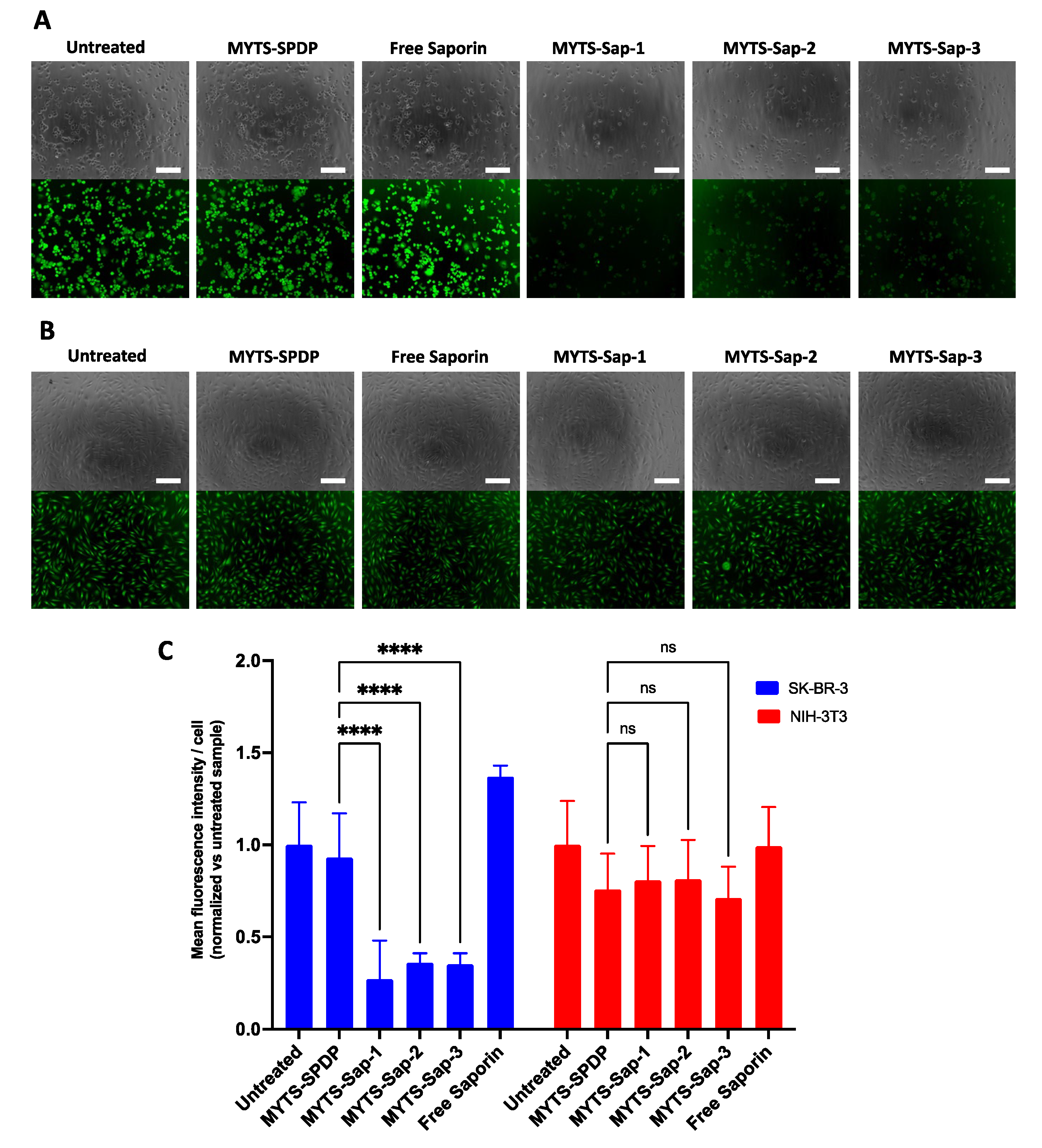 Pharmaceutics 14 01517 g005 Pharmaceutics 14 01517 g005