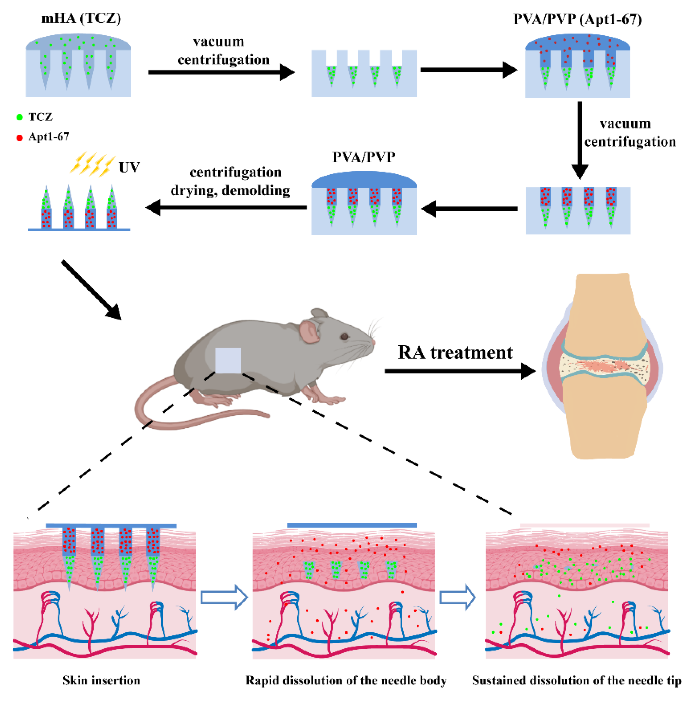 Pharmaceutics 14 01518 g001