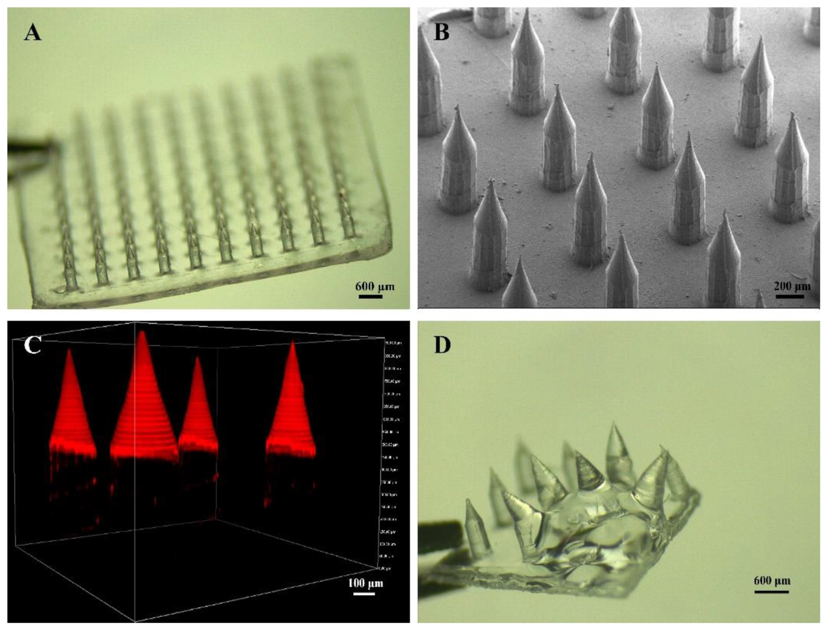 Pharmaceutics 14 01518 g002