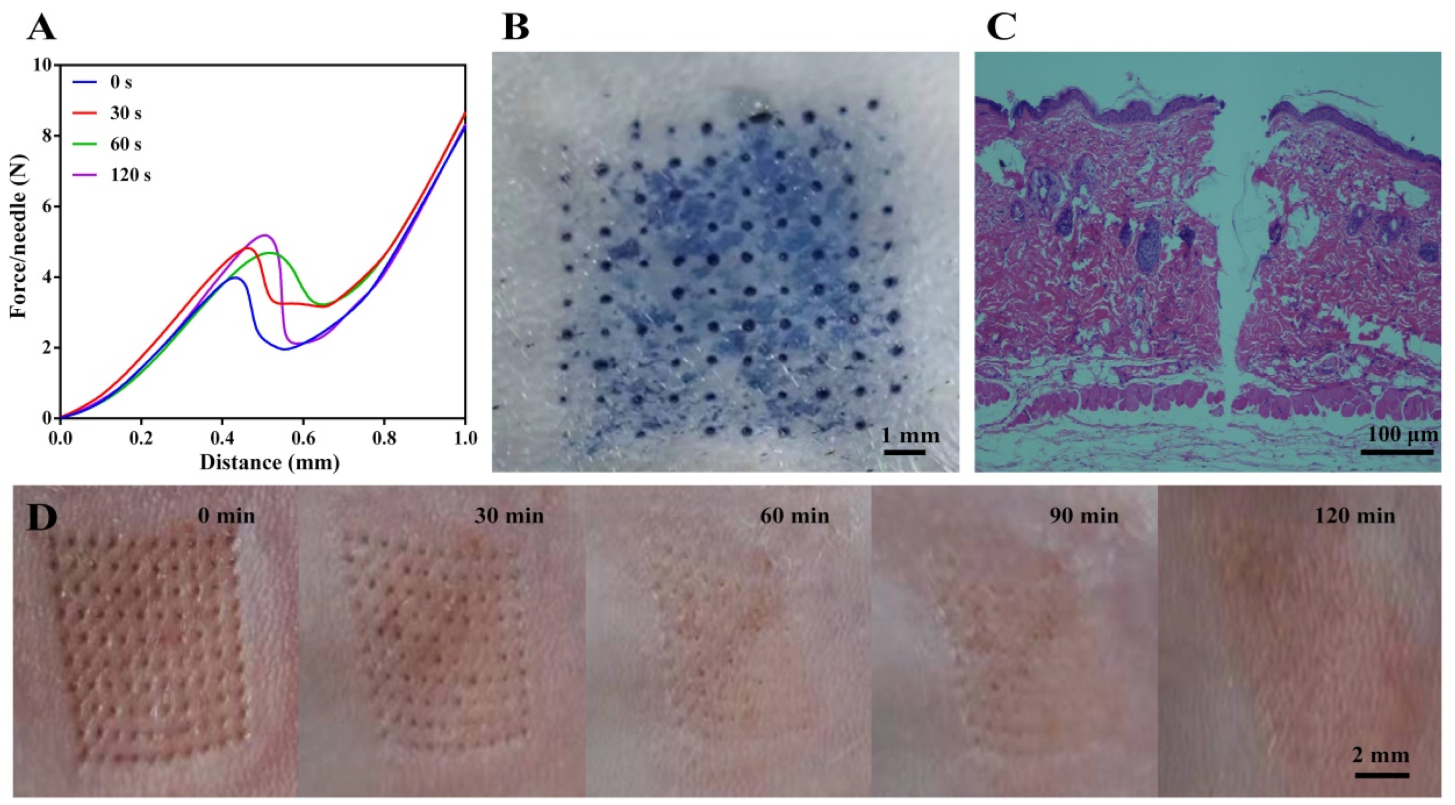 Pharmaceutics 14 01518 g003