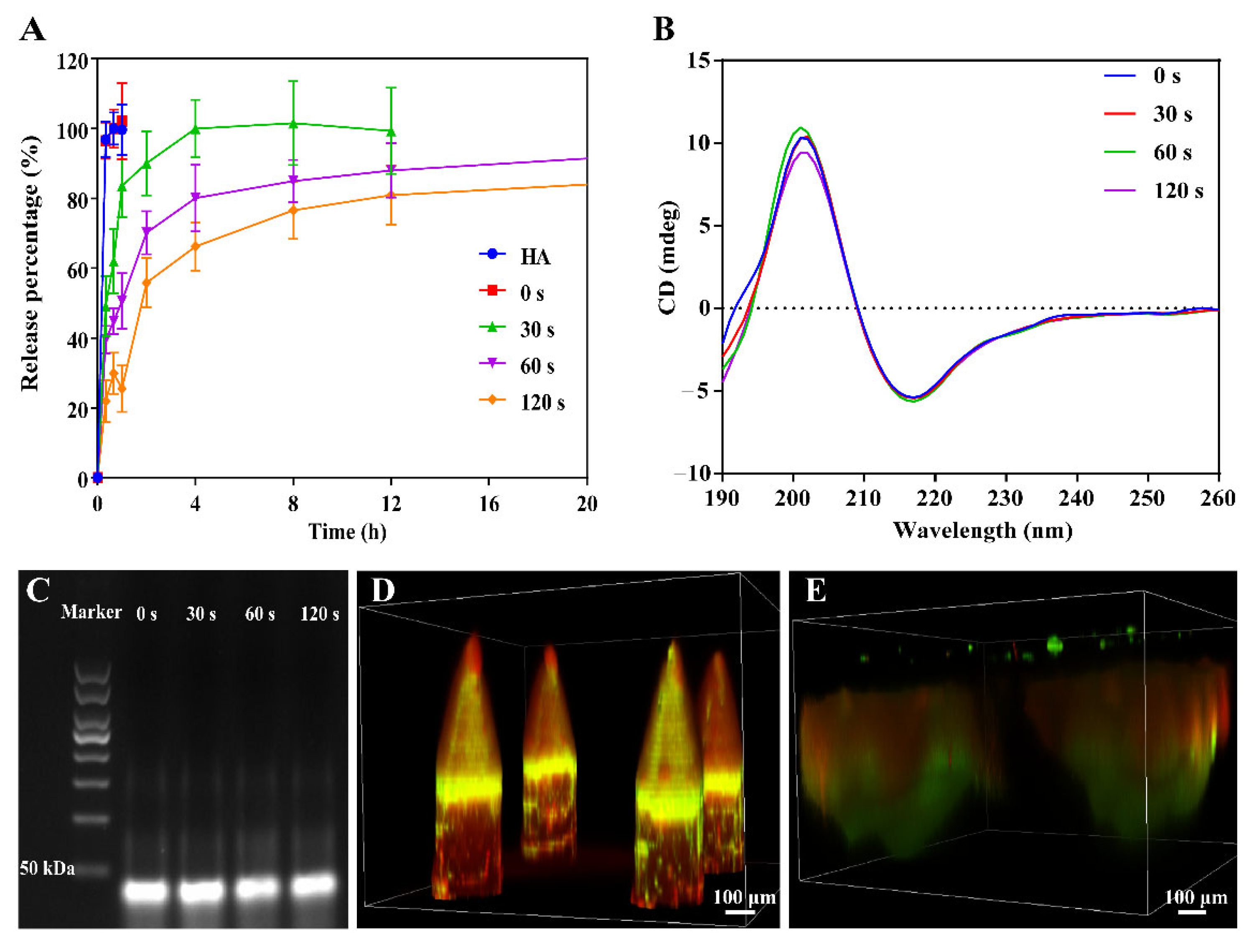 Pharmaceutics 14 01518 g004