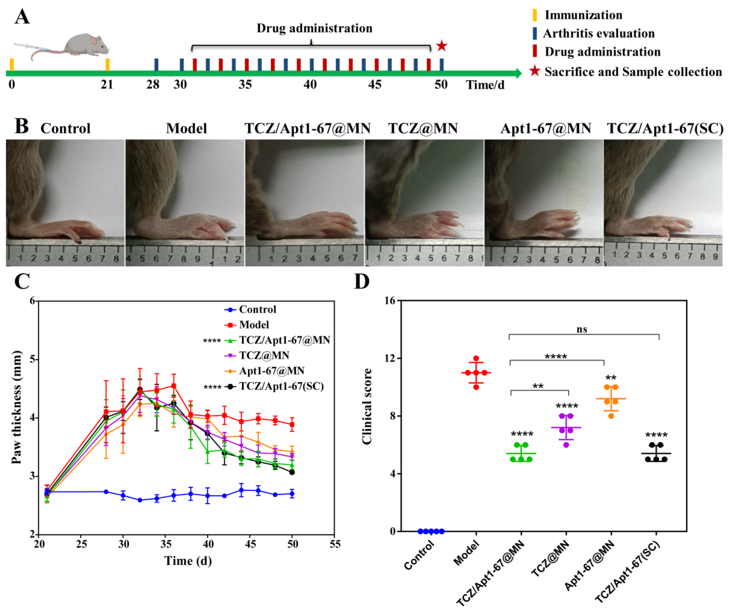 Pharmaceutics 14 01518 g005