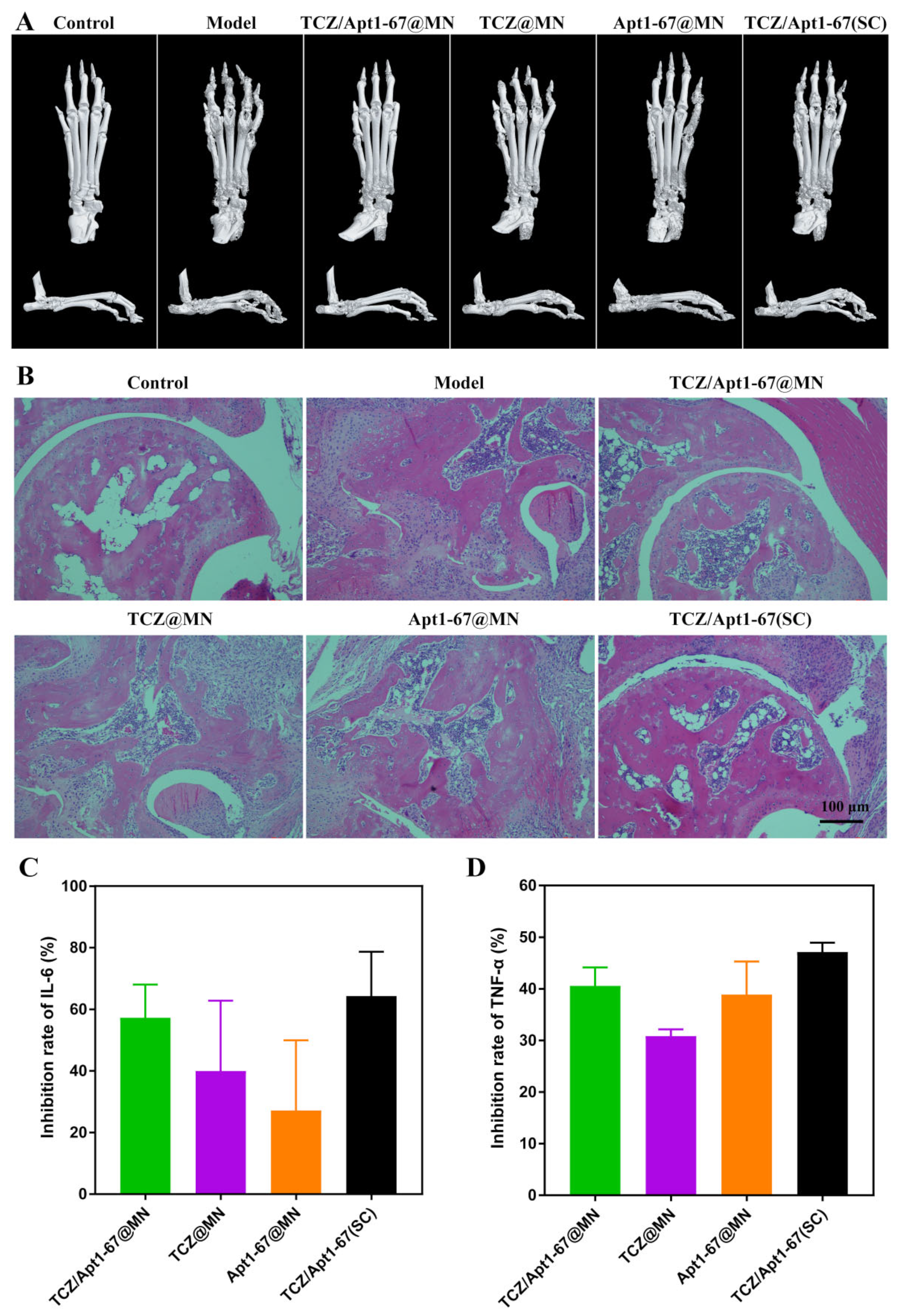 Pharmaceutics 14 01518 g006
