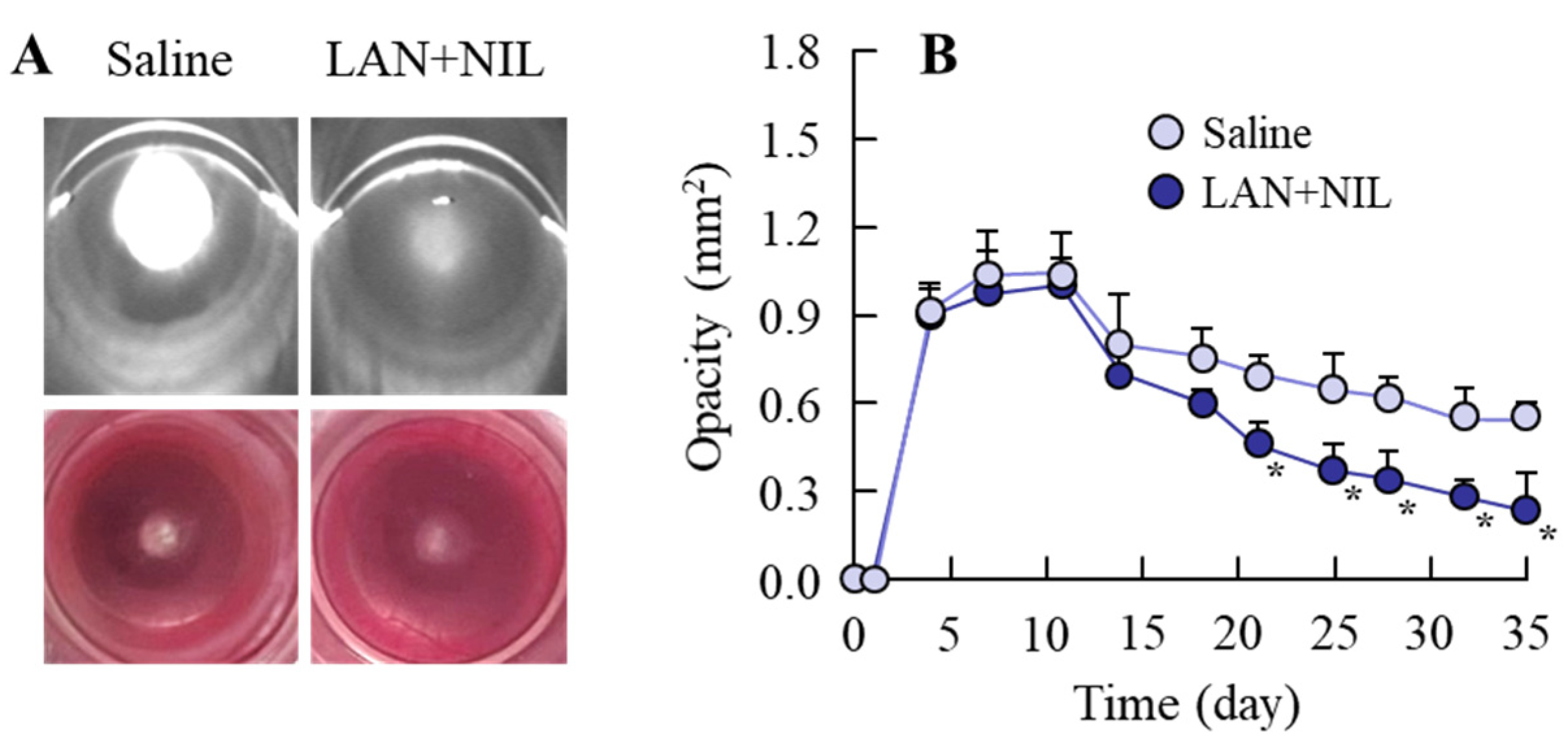 Pharmaceutics 14 01520 g005