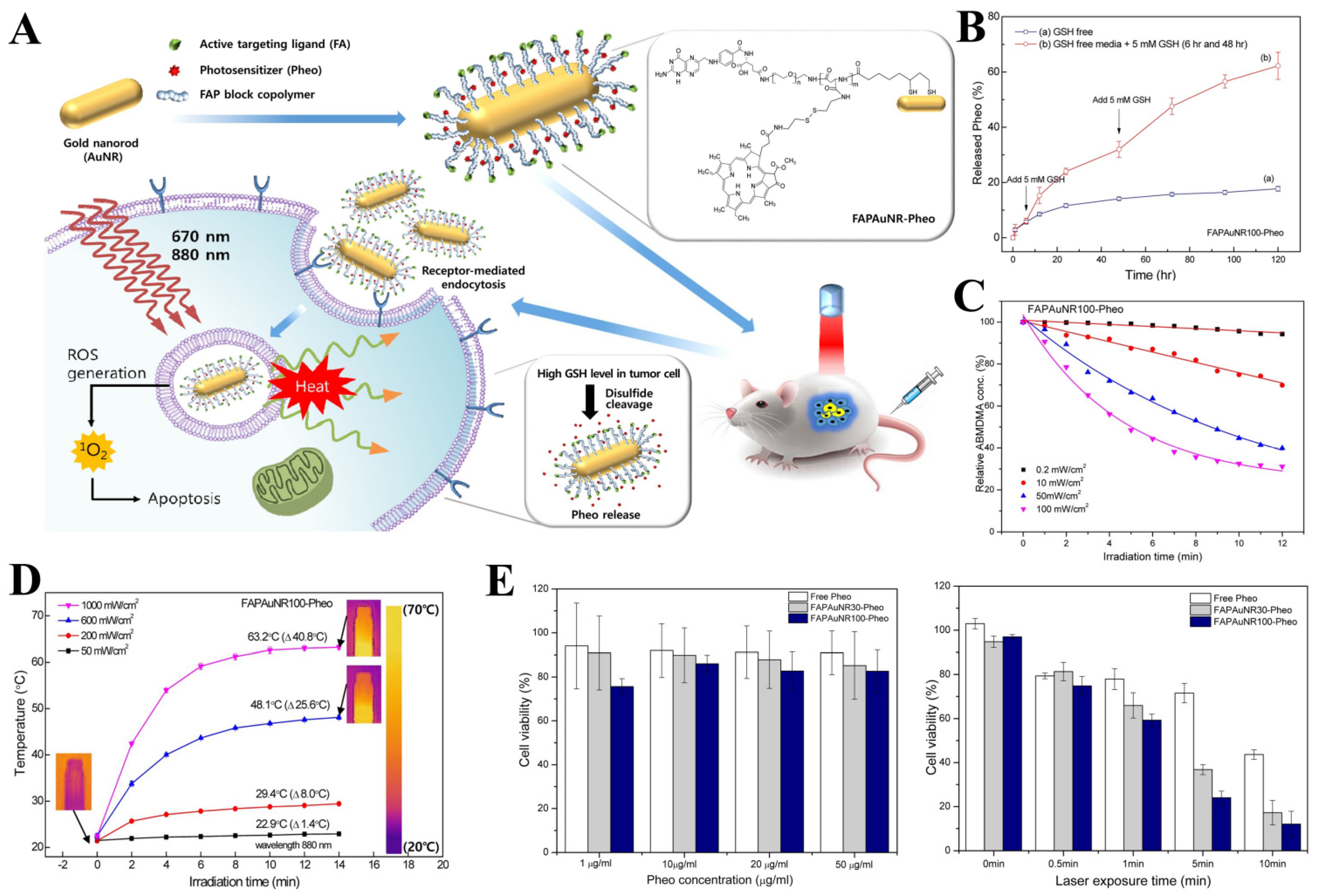 Pharmaceutics 14 01522 g006