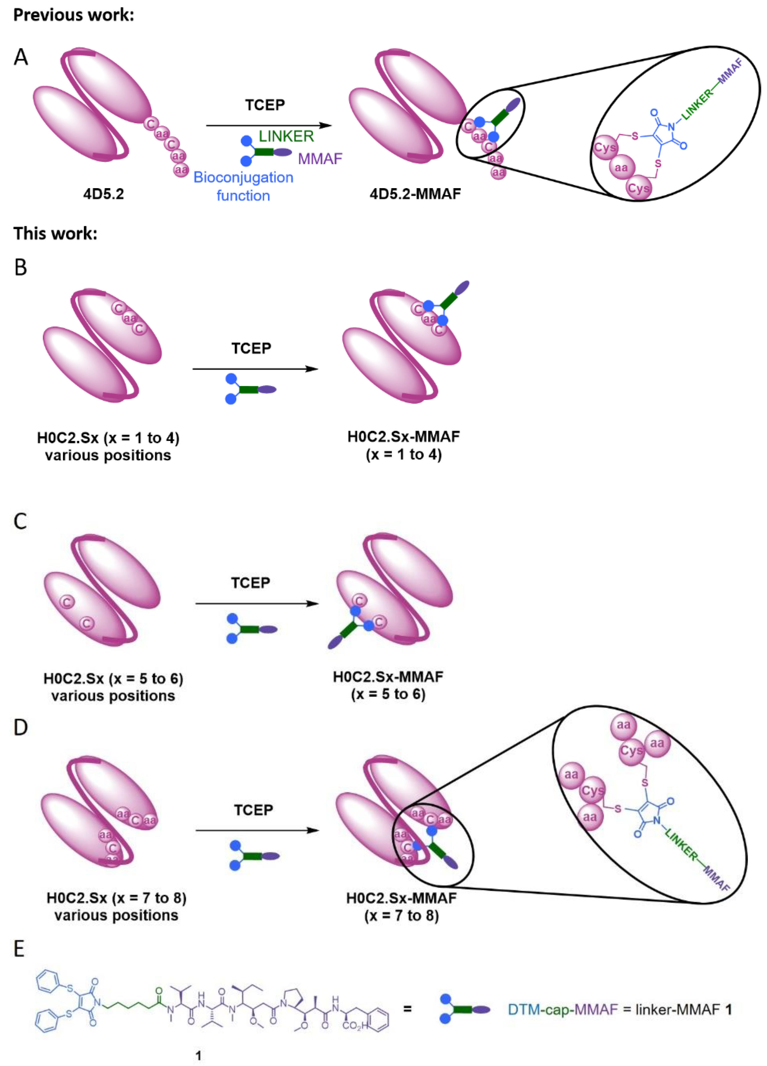 Pharmaceutics 14 01524 g001