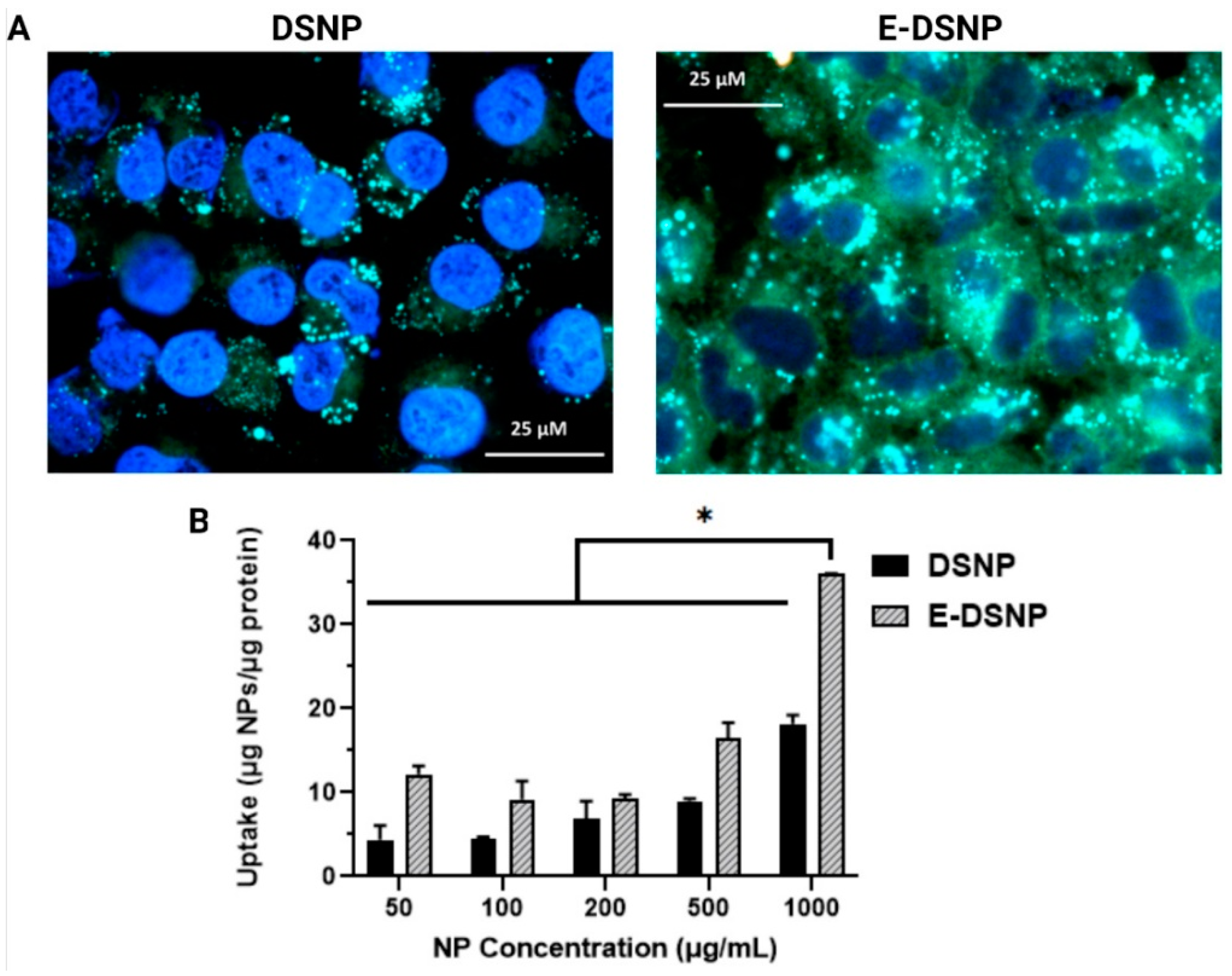 Pharmaceutics 14 01525 g005 550