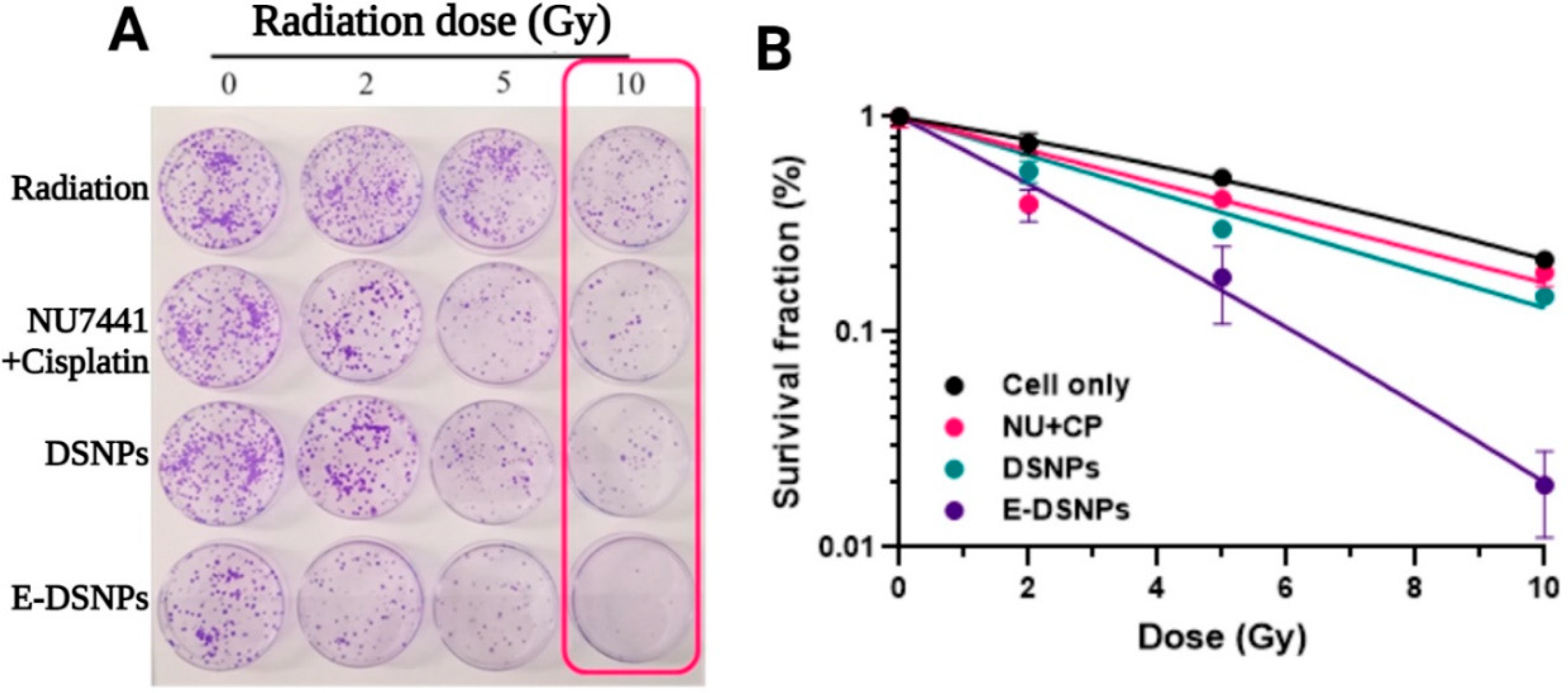 Pharmaceutics 14 01525 g008 550