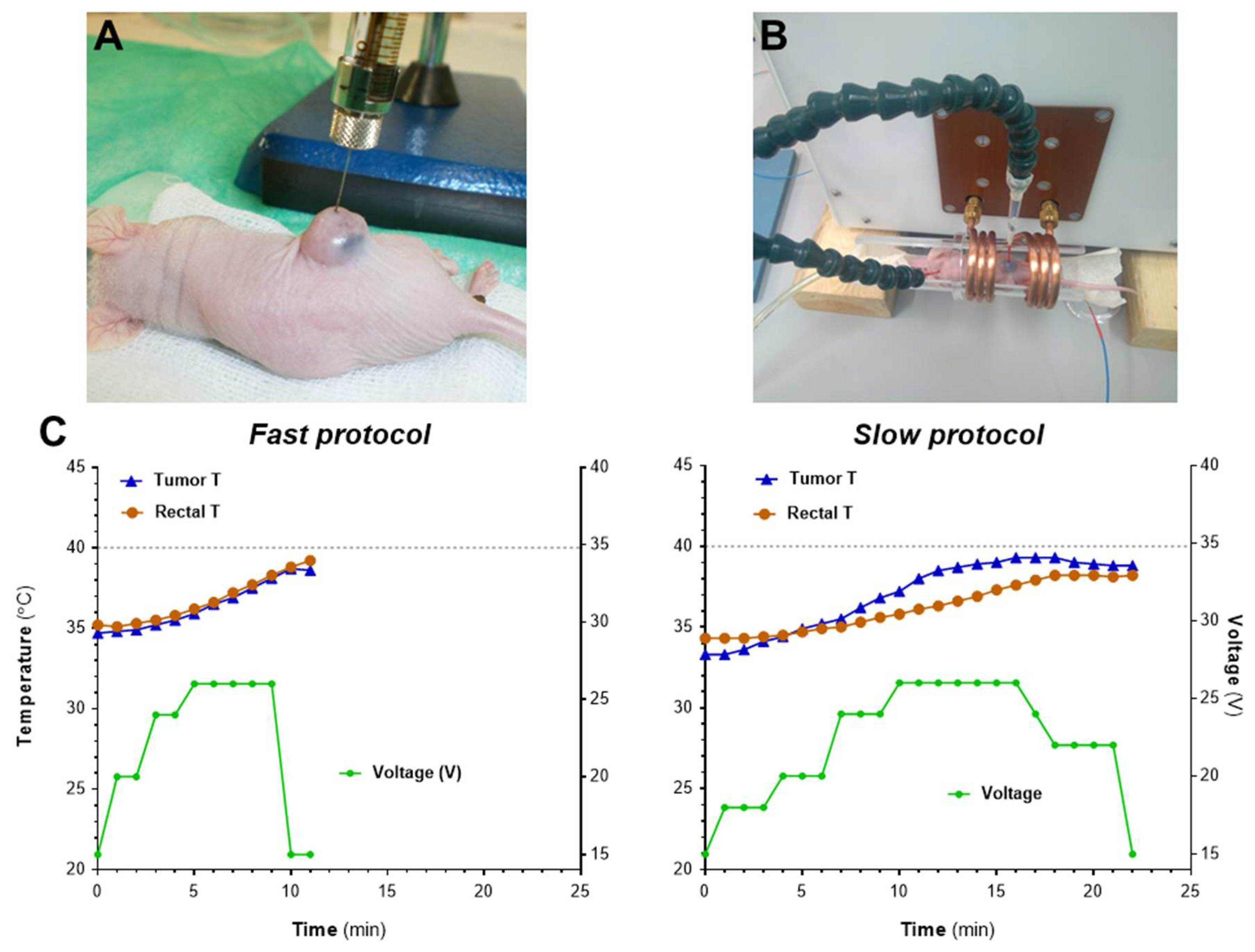 Pharmaceutics 14 01526 g005