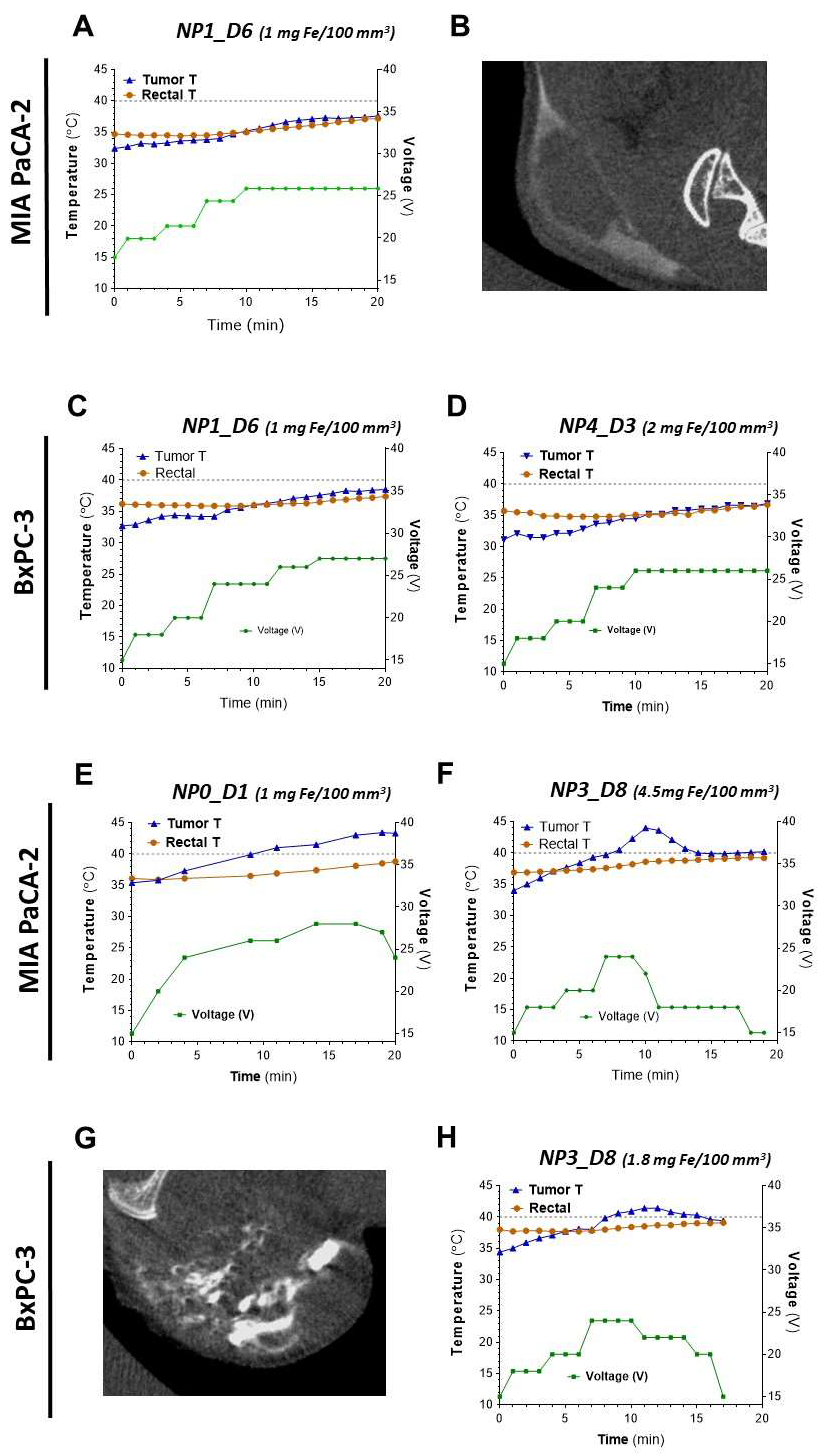 Pharmaceutics 14 01526 g006