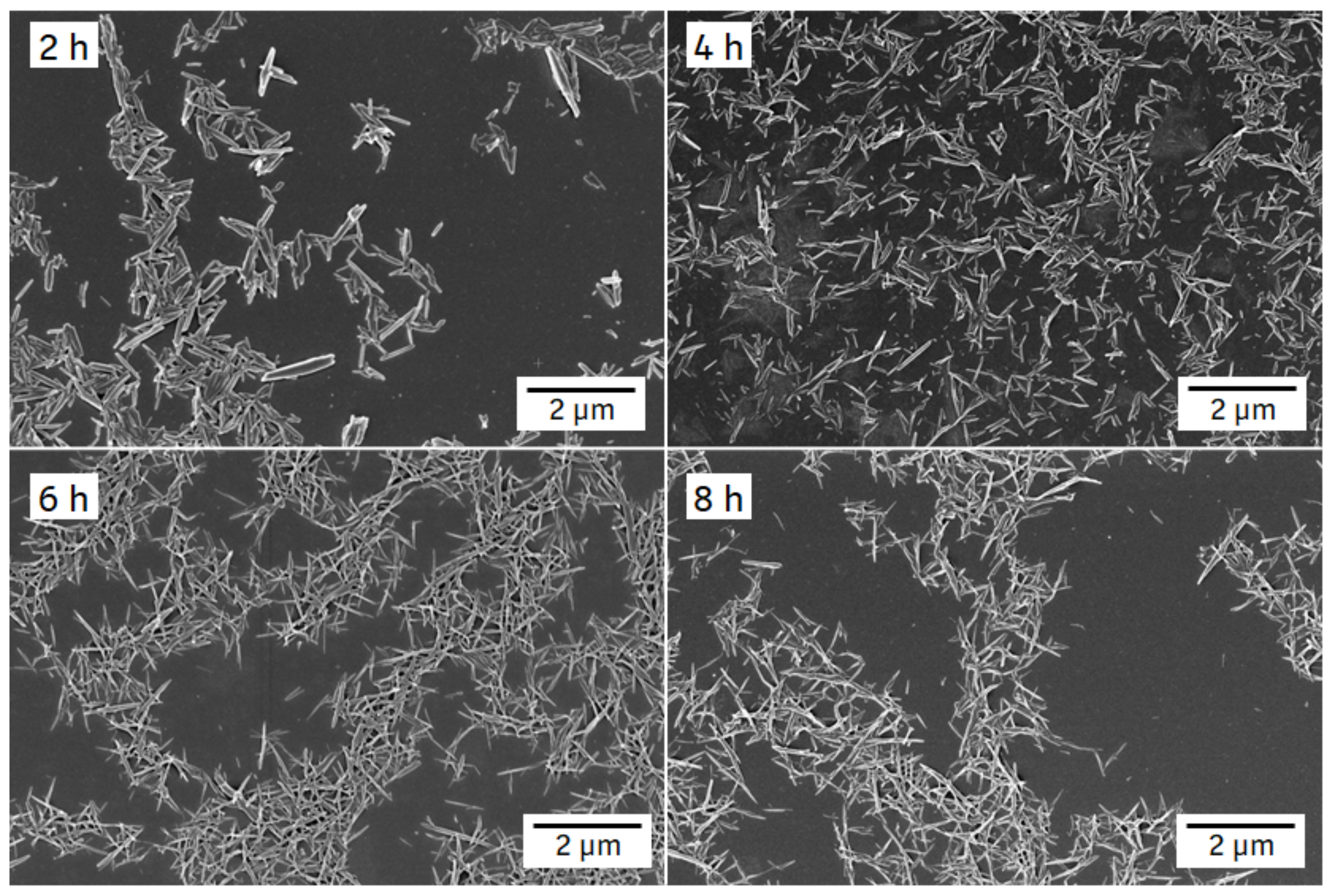 Pharmaceutics 14 01528 g009 550