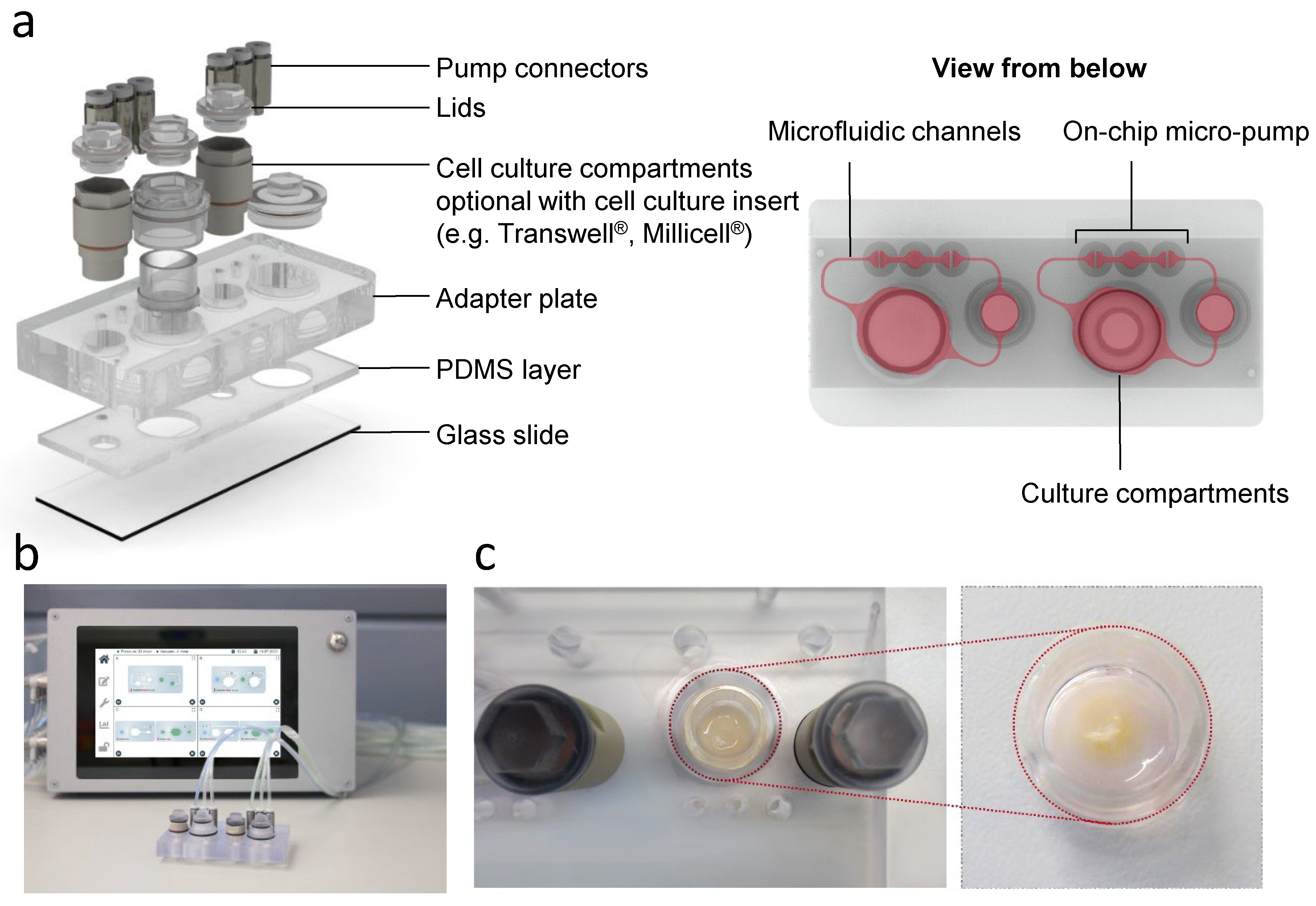 Pharmaceutics 14 01529 g001