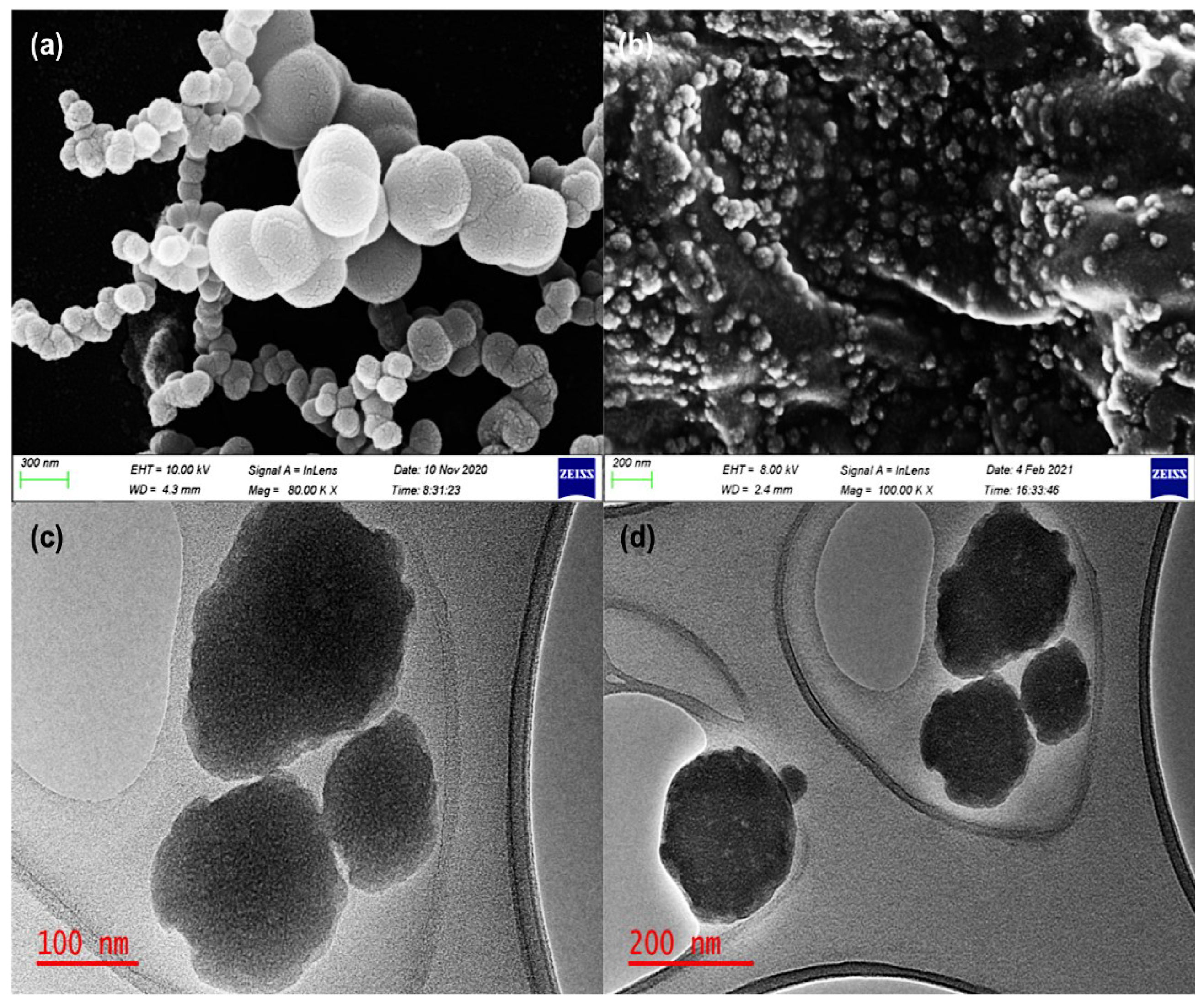 Pharmaceutics 14 01531 g001 Pharmaceutics 14 01531 g001