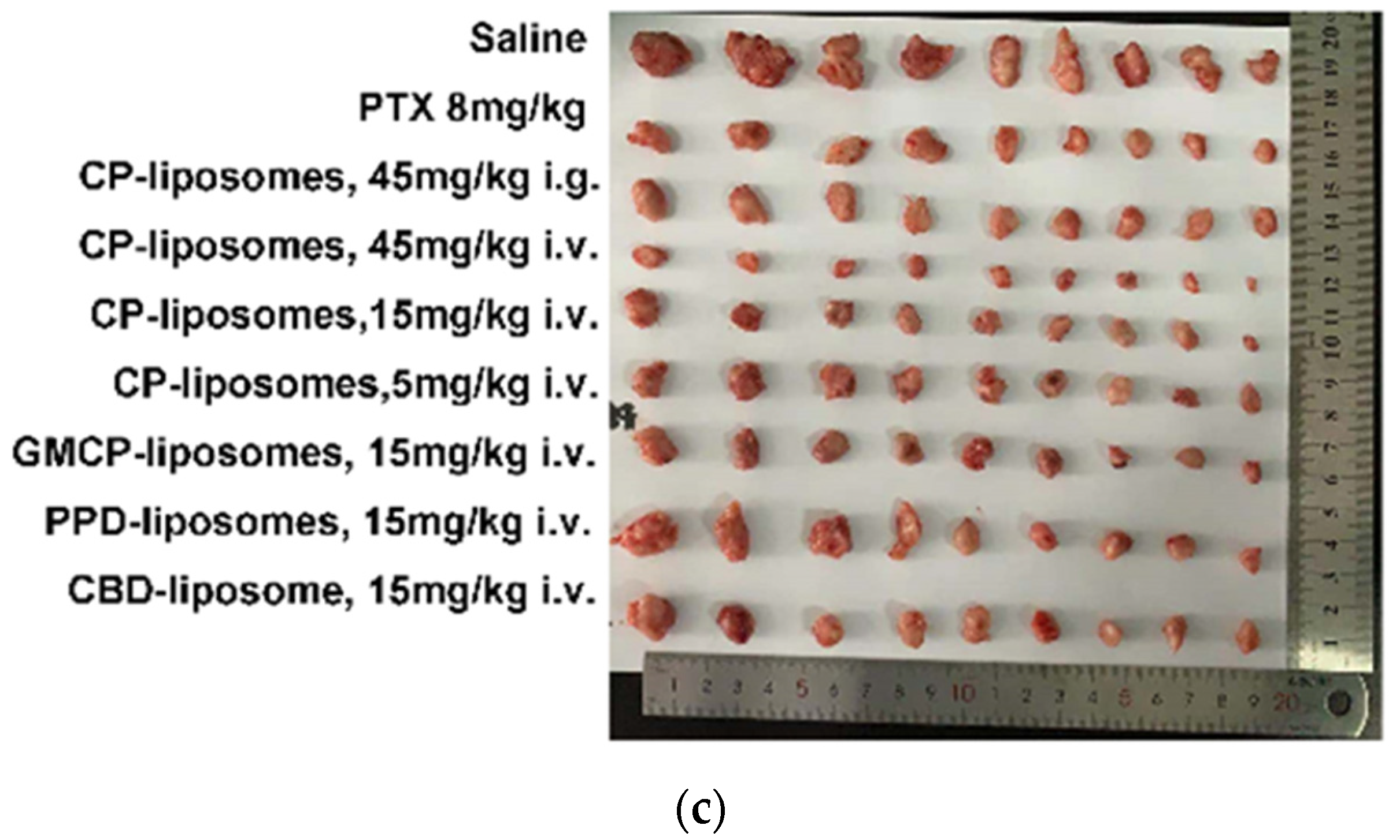 Pharmaceutics 14 01533 g005b