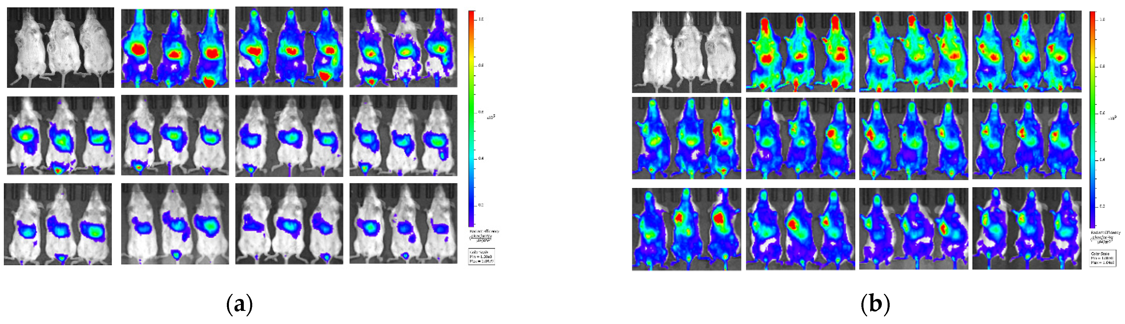 Pharmaceutics 14 01533 g006a