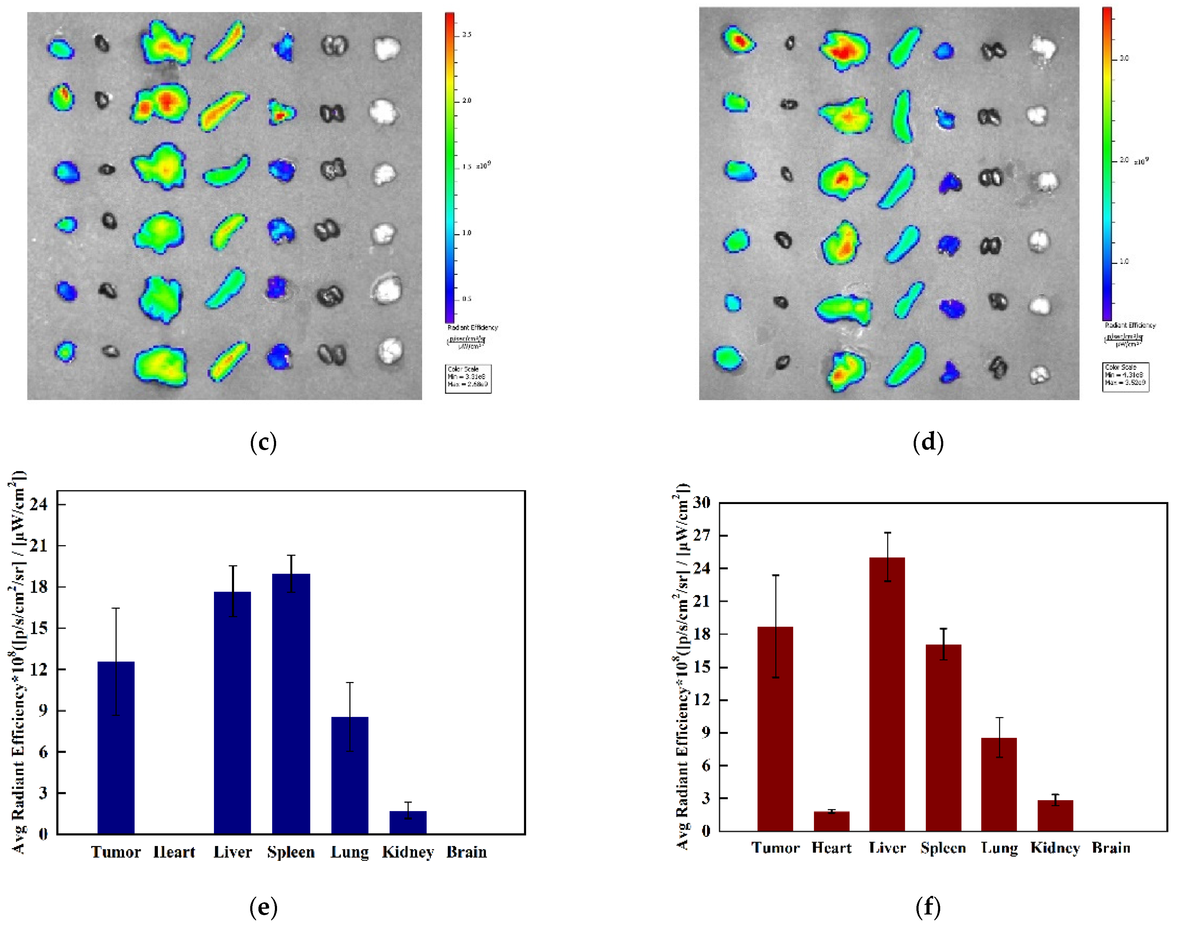 Pharmaceutics 14 01533 g006b