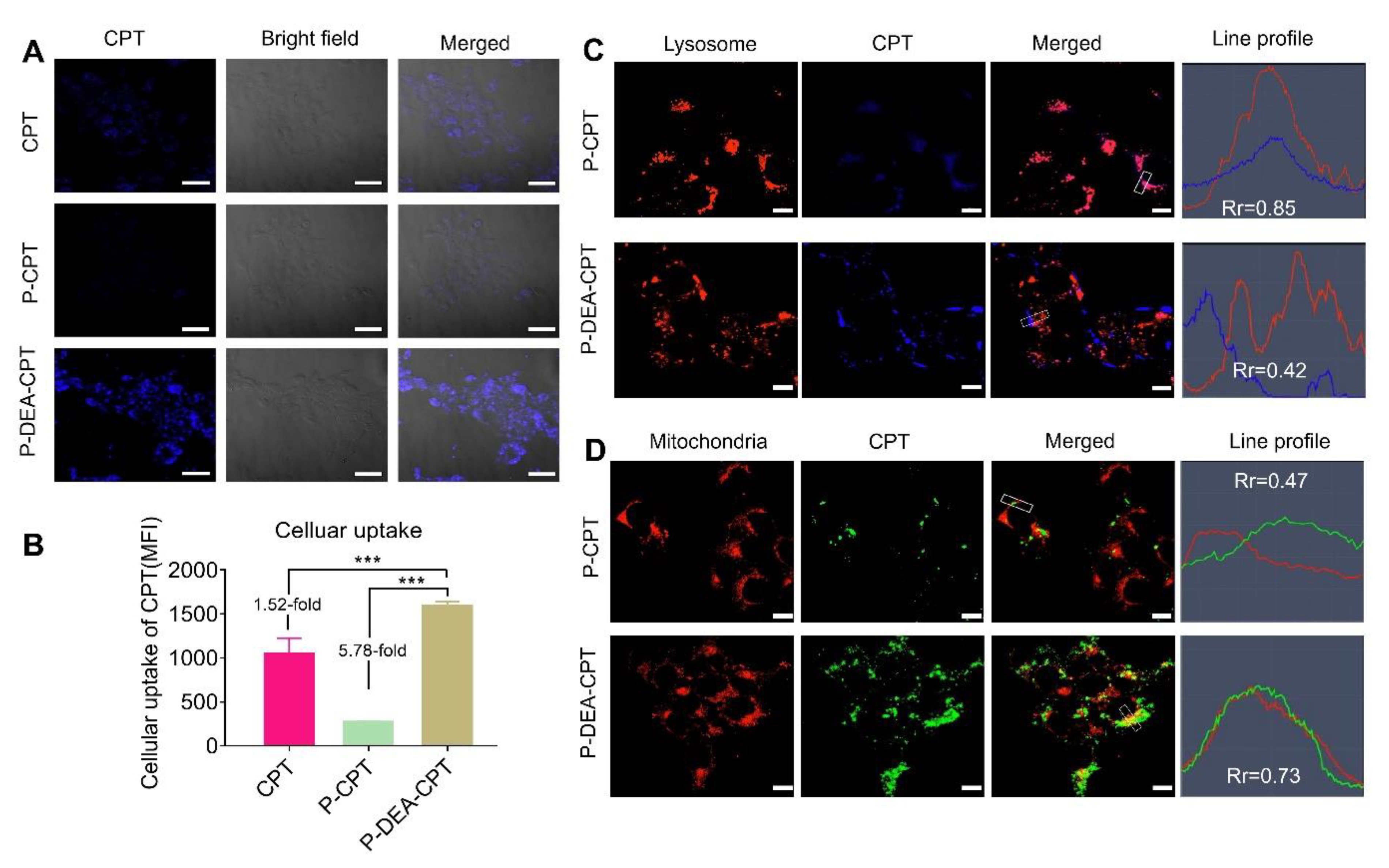 Pharmaceutics 14 01534 g003