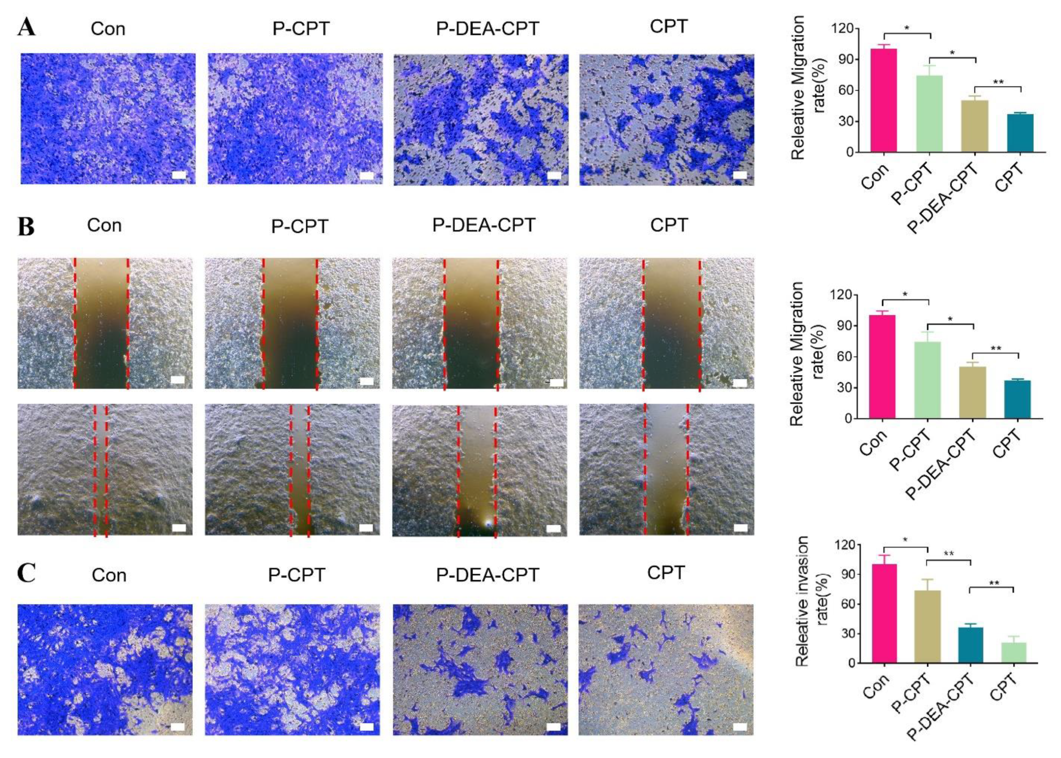 Pharmaceutics 14 01534 g005