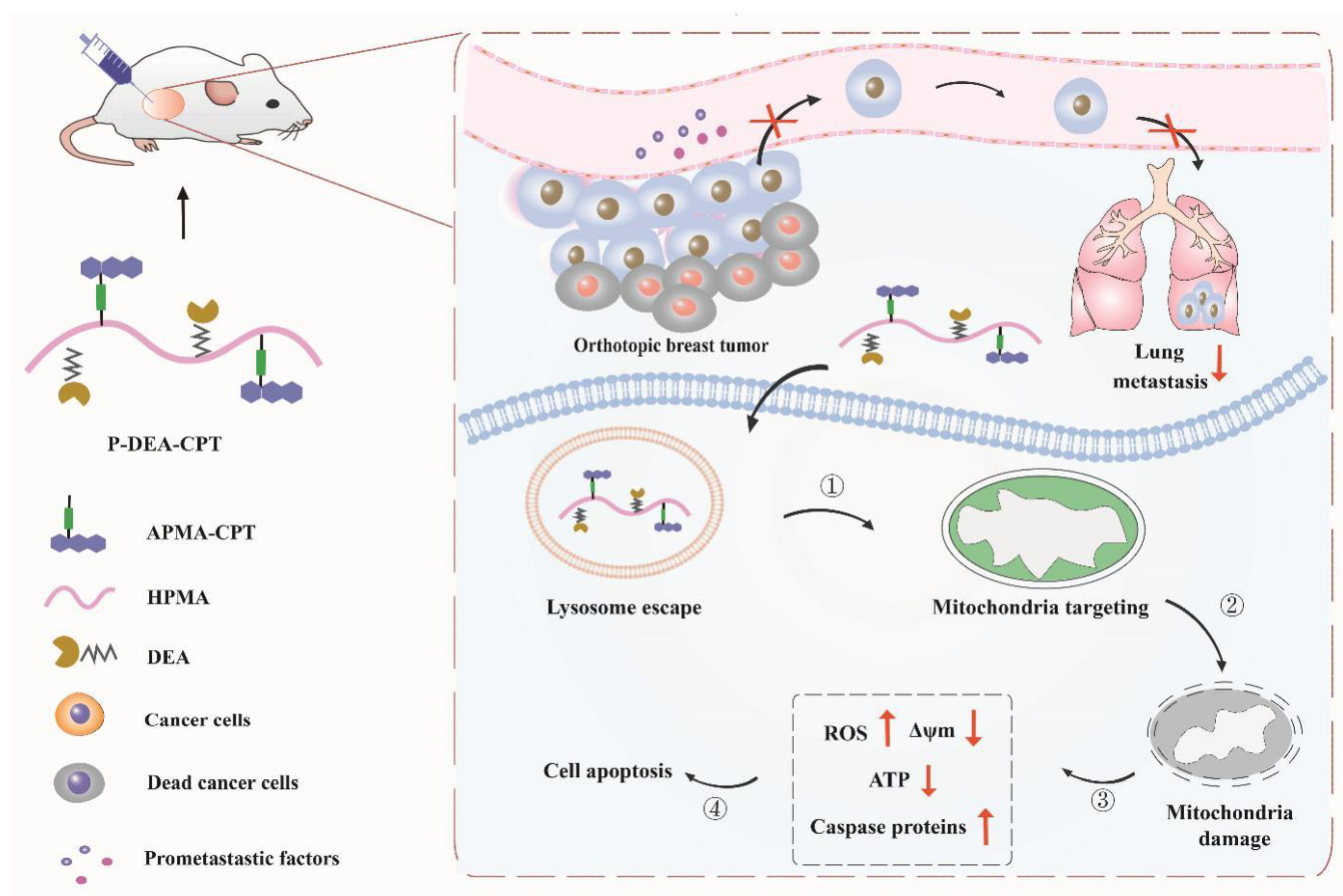 Pharmaceutics 14 01534 sch001