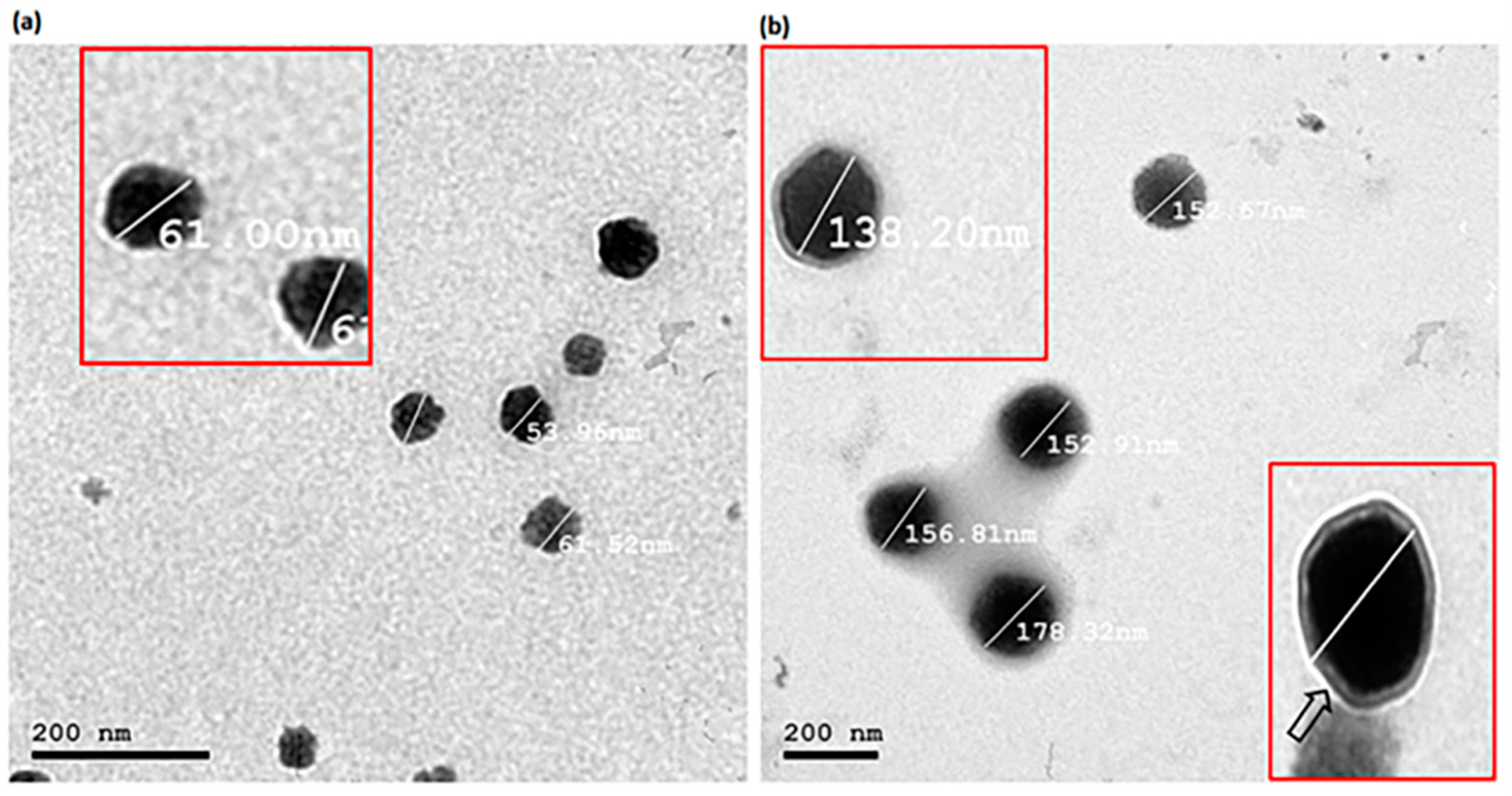 Pharmaceutics 14 01536 g002