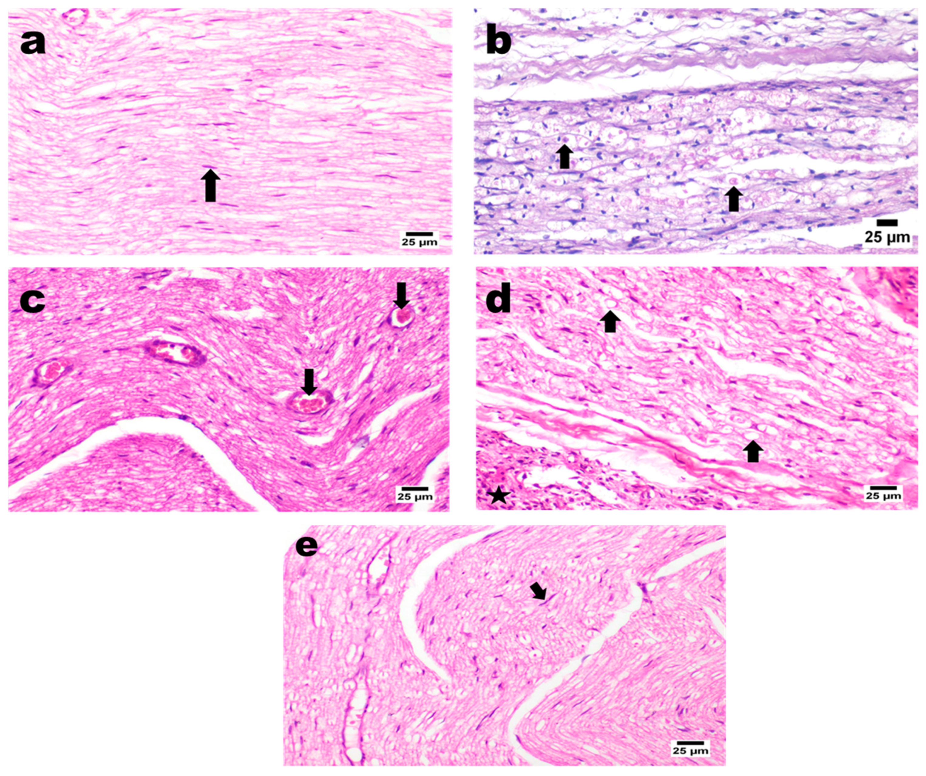 Pharmaceutics 14 01536 g008