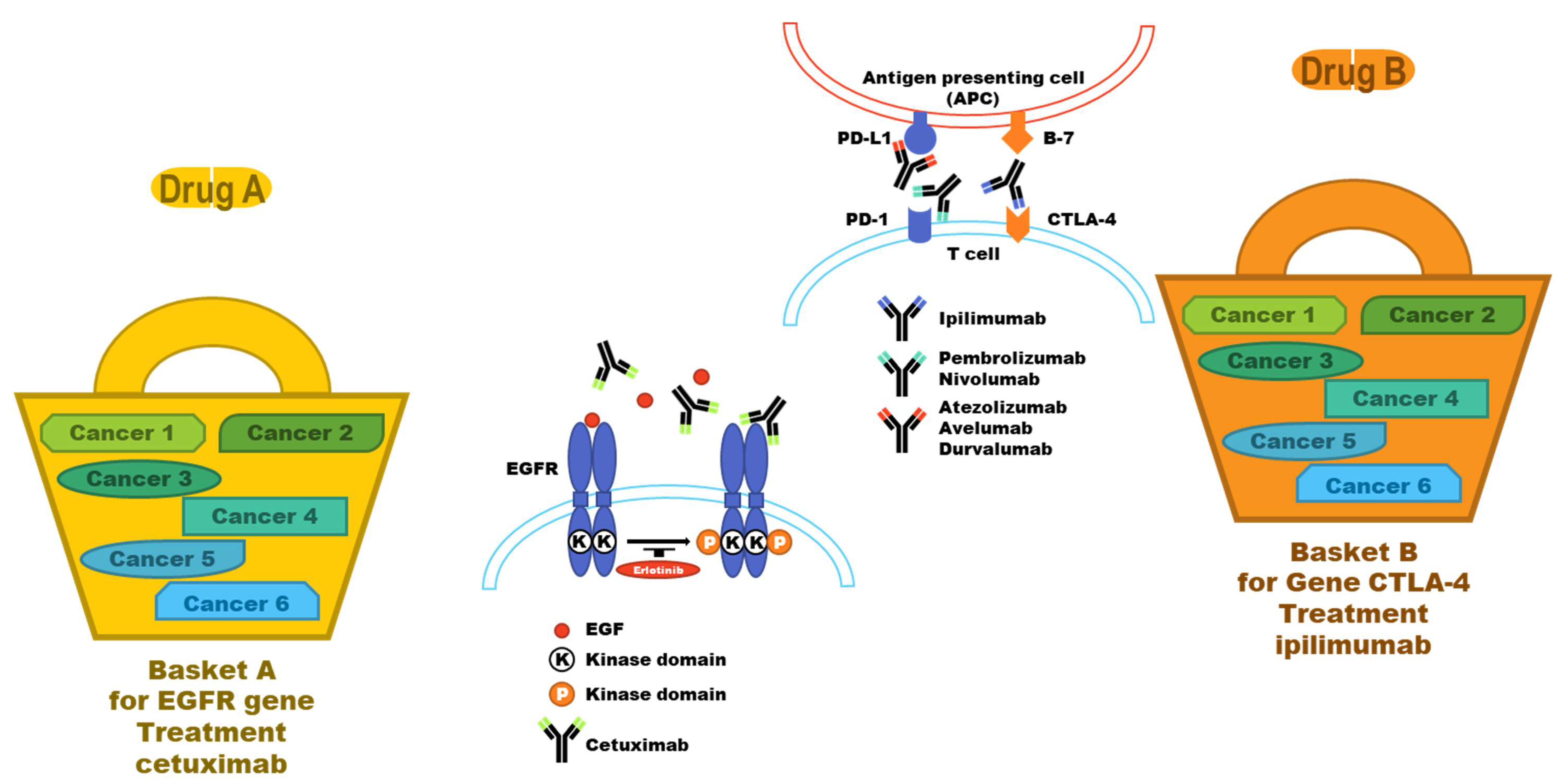 Pharmaceutics 14 01539 g003