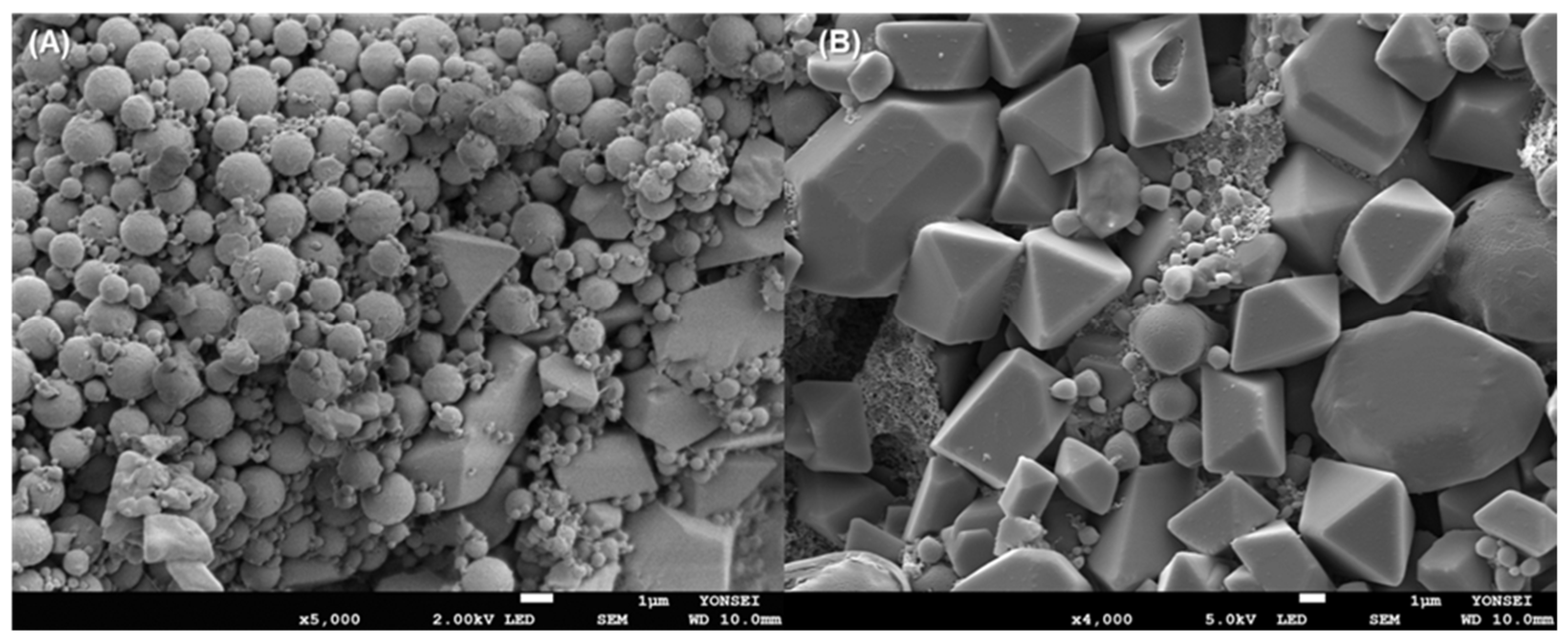 Pharmaceutics 14 01540 g002 550