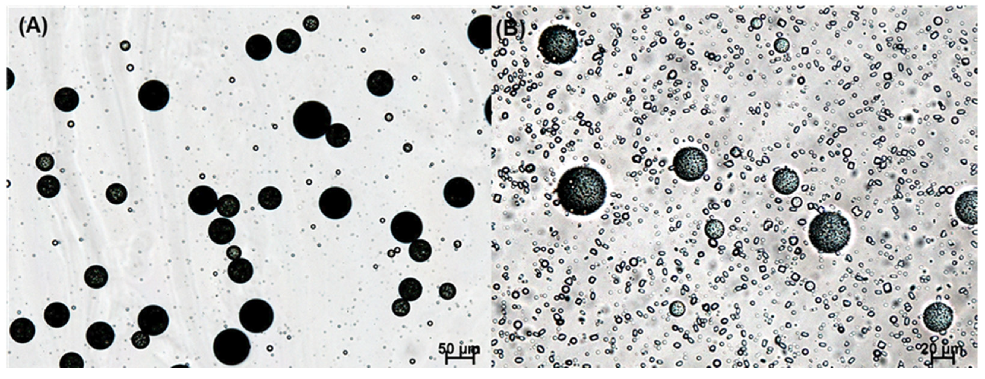 Pharmaceutics 14 01540 g003 550