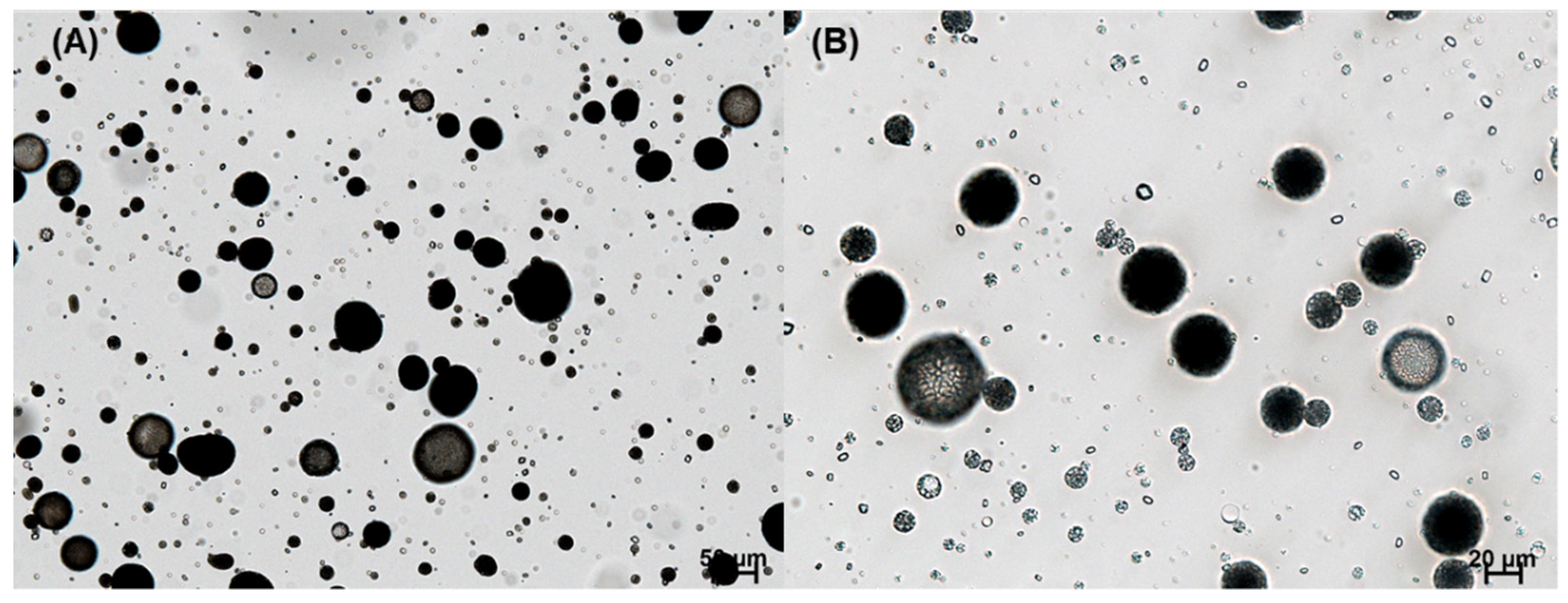 Pharmaceutics 14 01540 g004 550