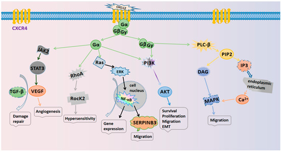 臨床病態栄養学 = Pathophysiological Bases of C… 臨床病態栄養学 = Pathophysiological Bases of C… 本