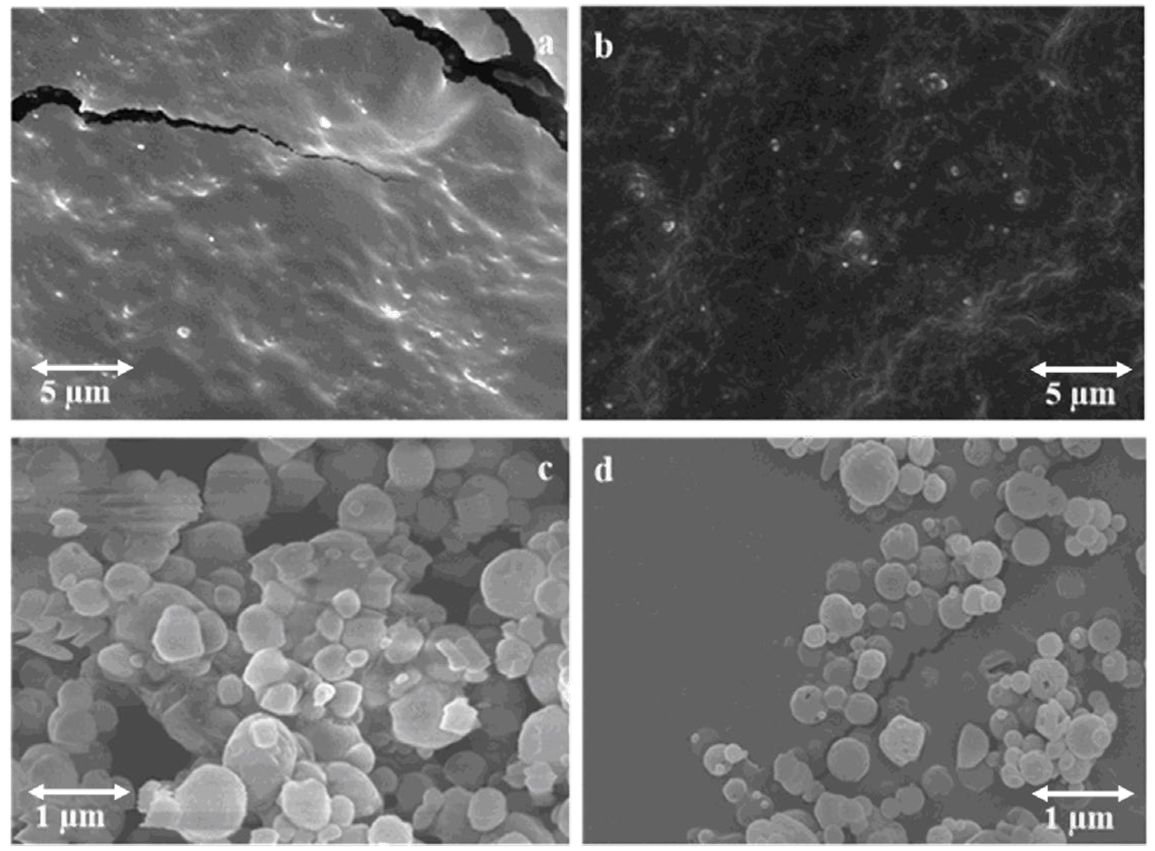 Pharmaceutics 14 01543 g003 Pharmaceutics 14 01543 g003