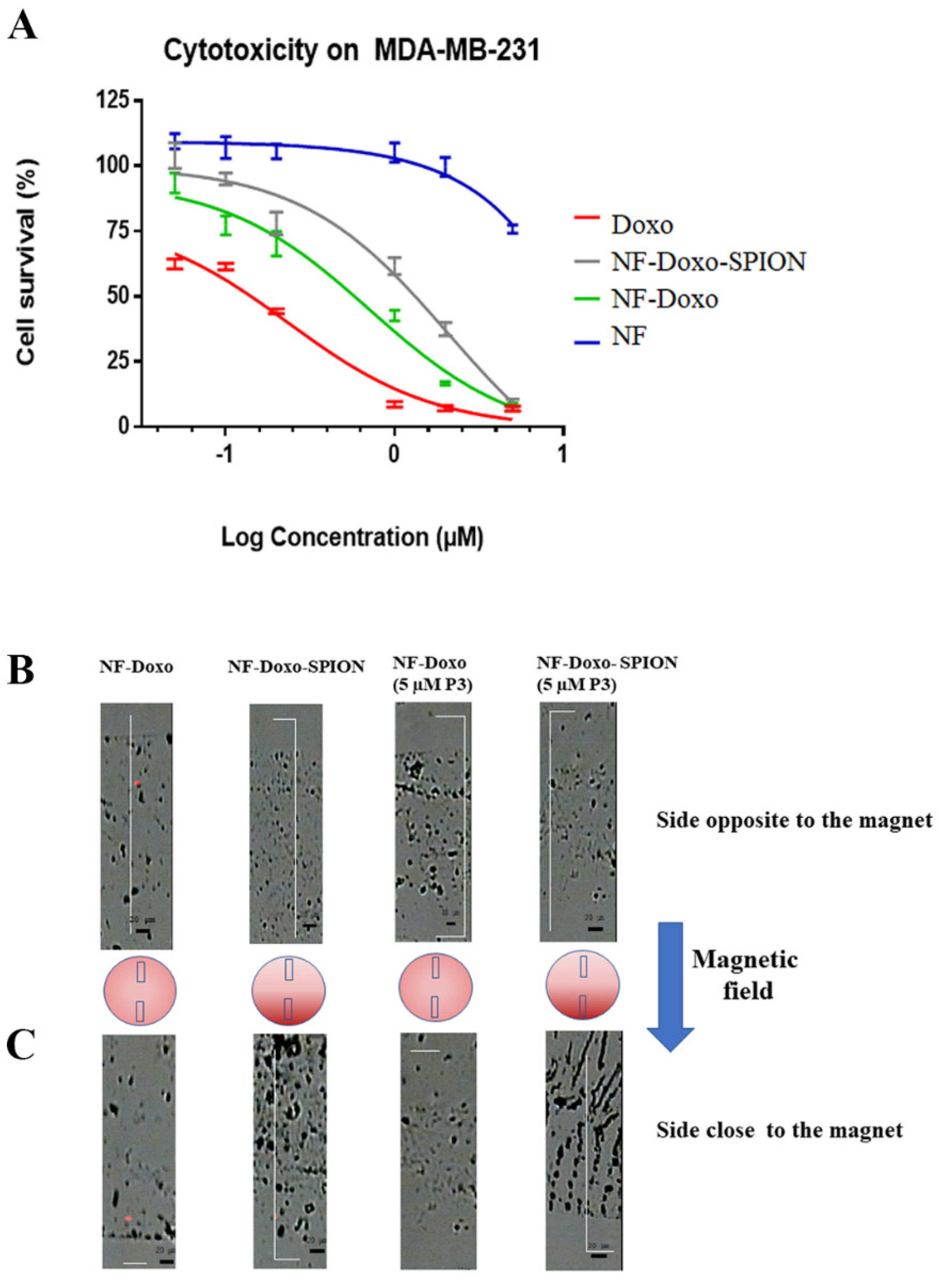 Pharmaceutics 14 01544 g010 550