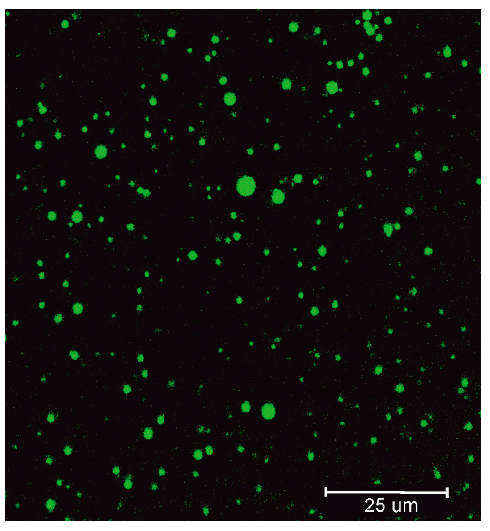 Pharmaceutics 14 01545 g001 550
