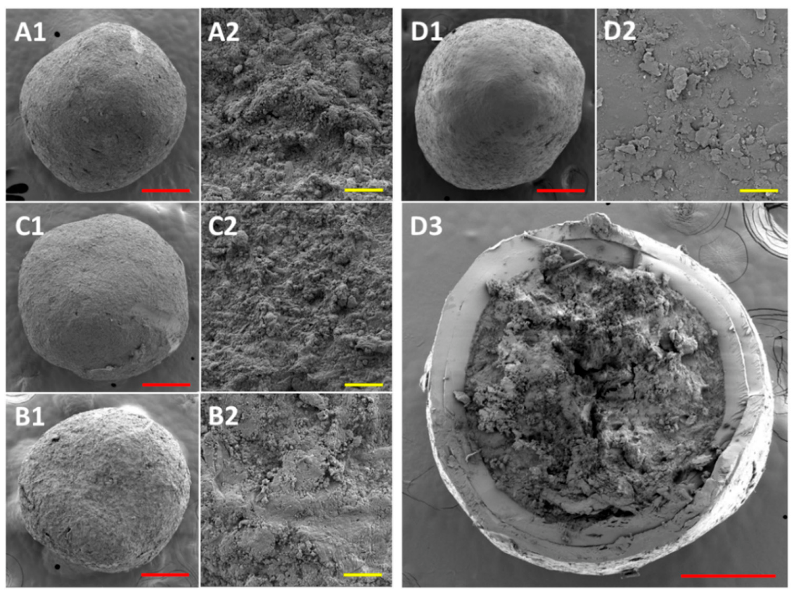 Pharmaceutics 14 01545 g004 550