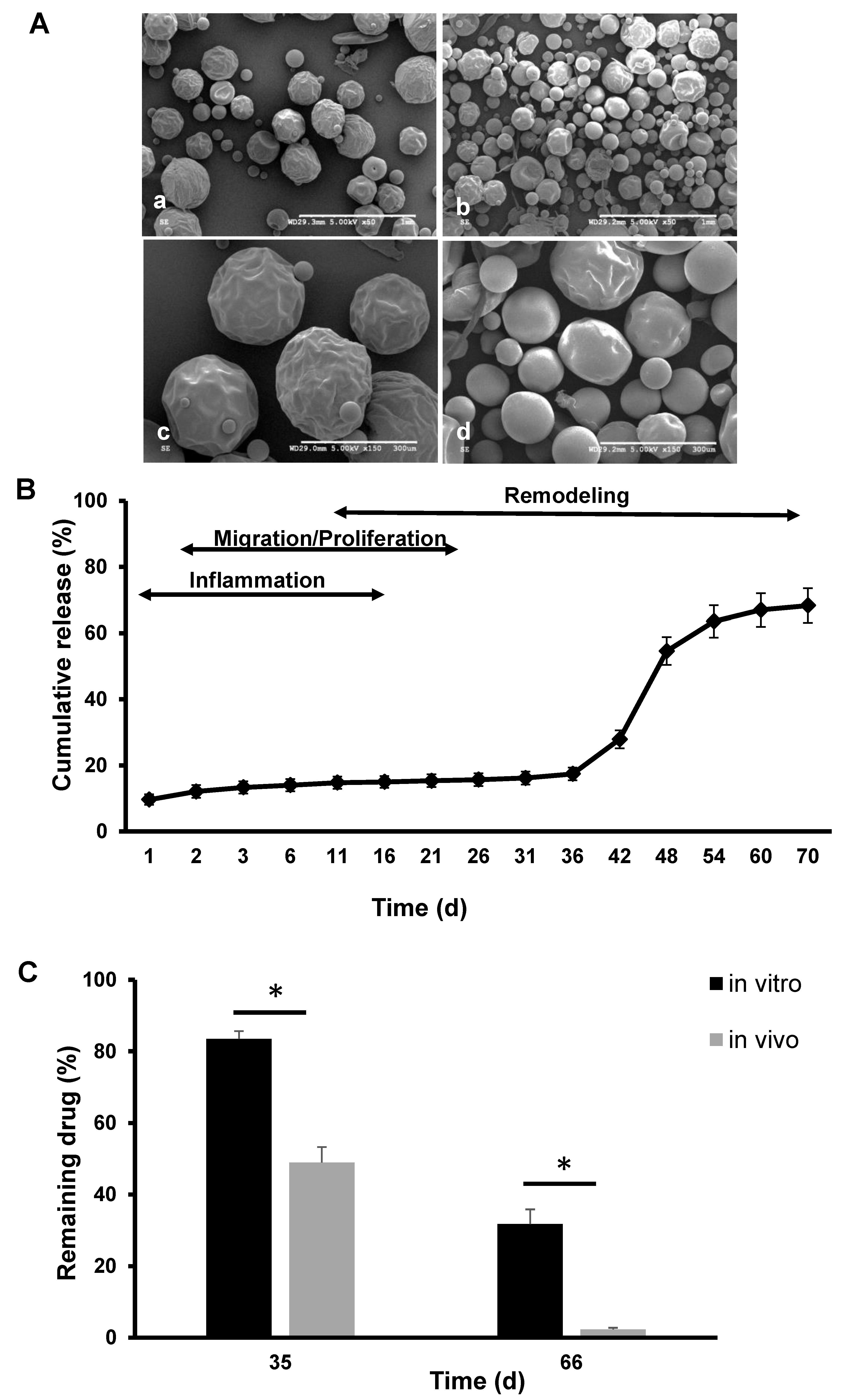 Pharmaceutics 14 01546 g003