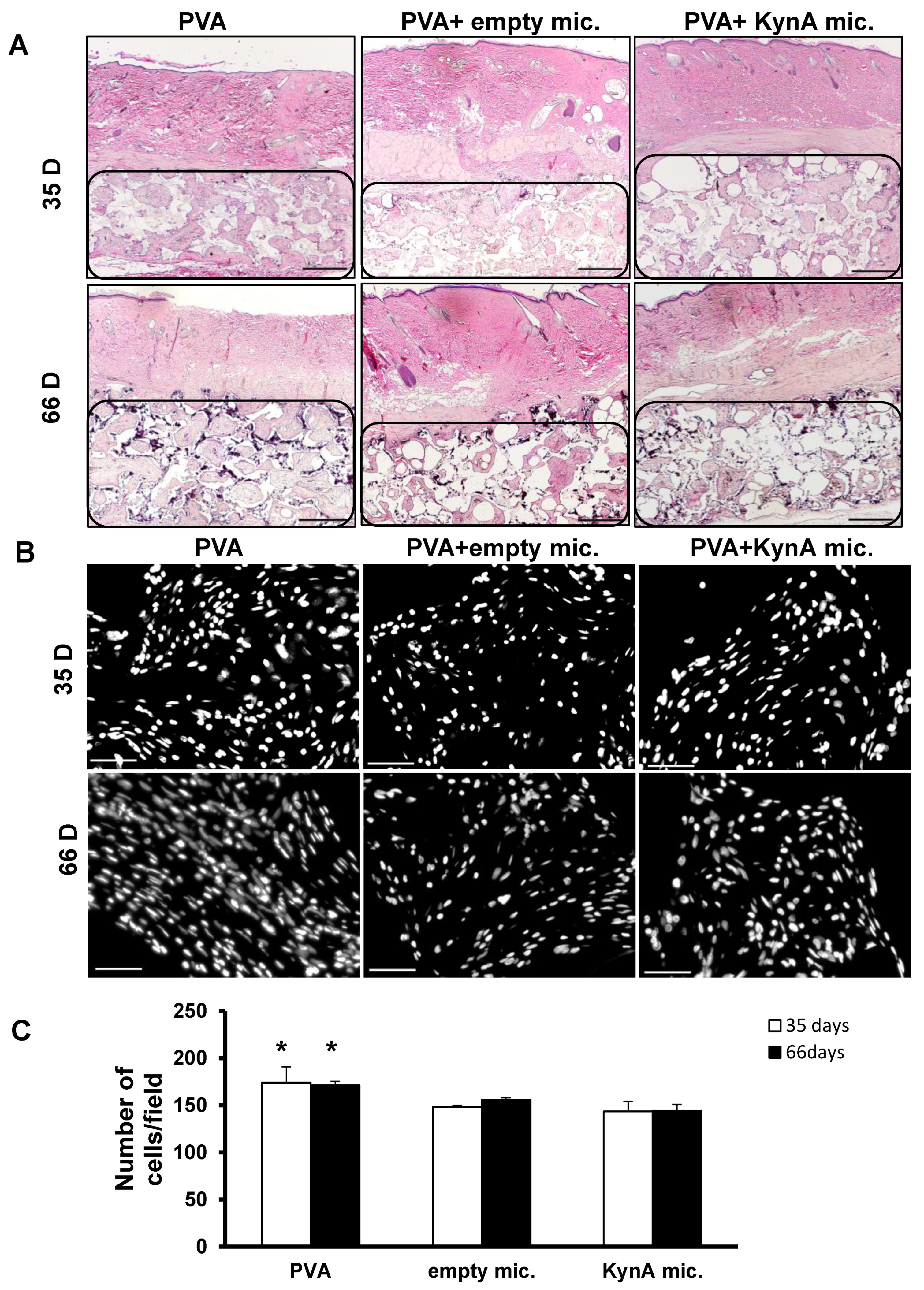 Pharmaceutics 14 01546 g004