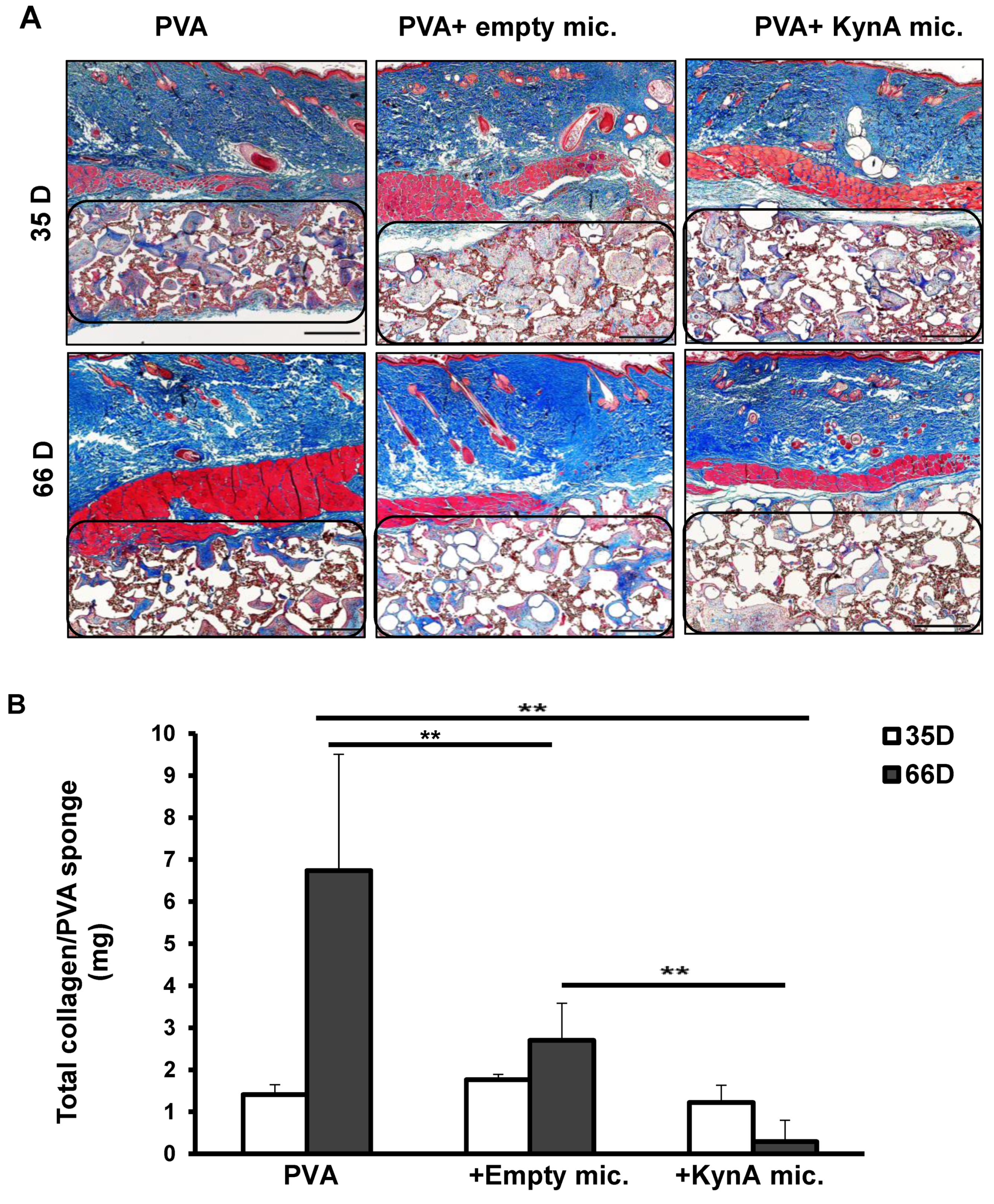 Pharmaceutics 14 01546 g005