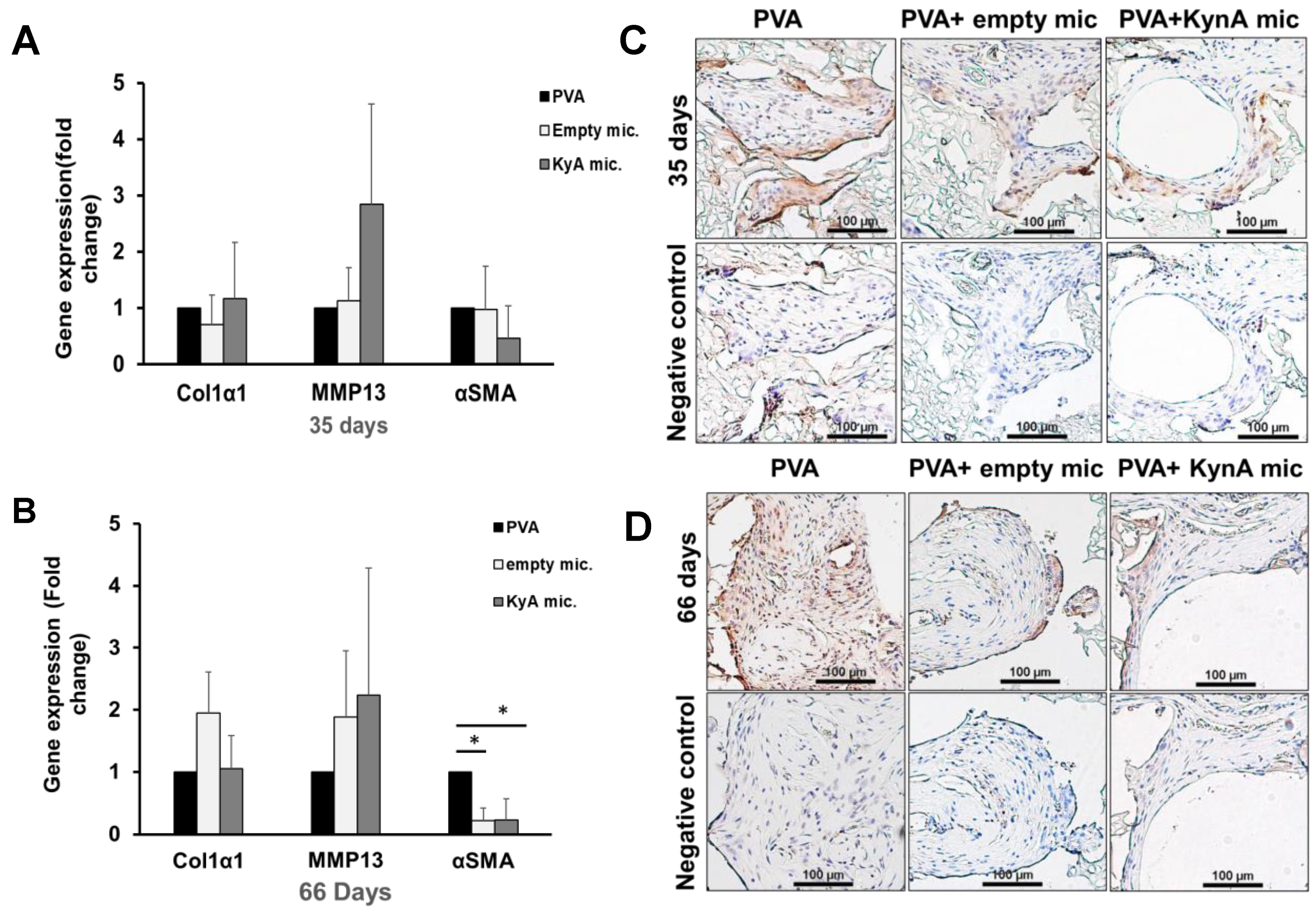 Pharmaceutics 14 01546 g006