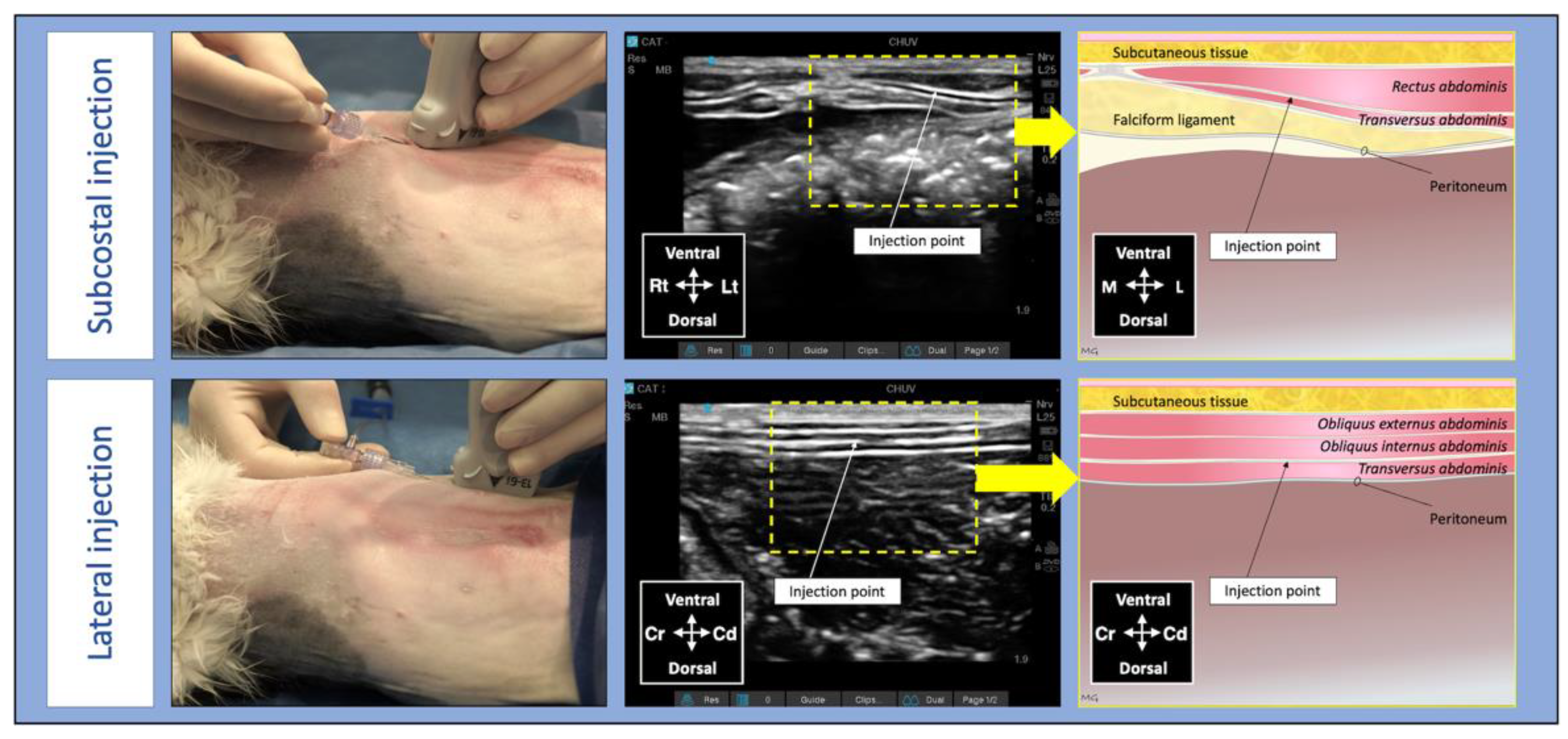 Pharmaceutics 14 01548 g001 Pharmaceutics 14 01548 g001