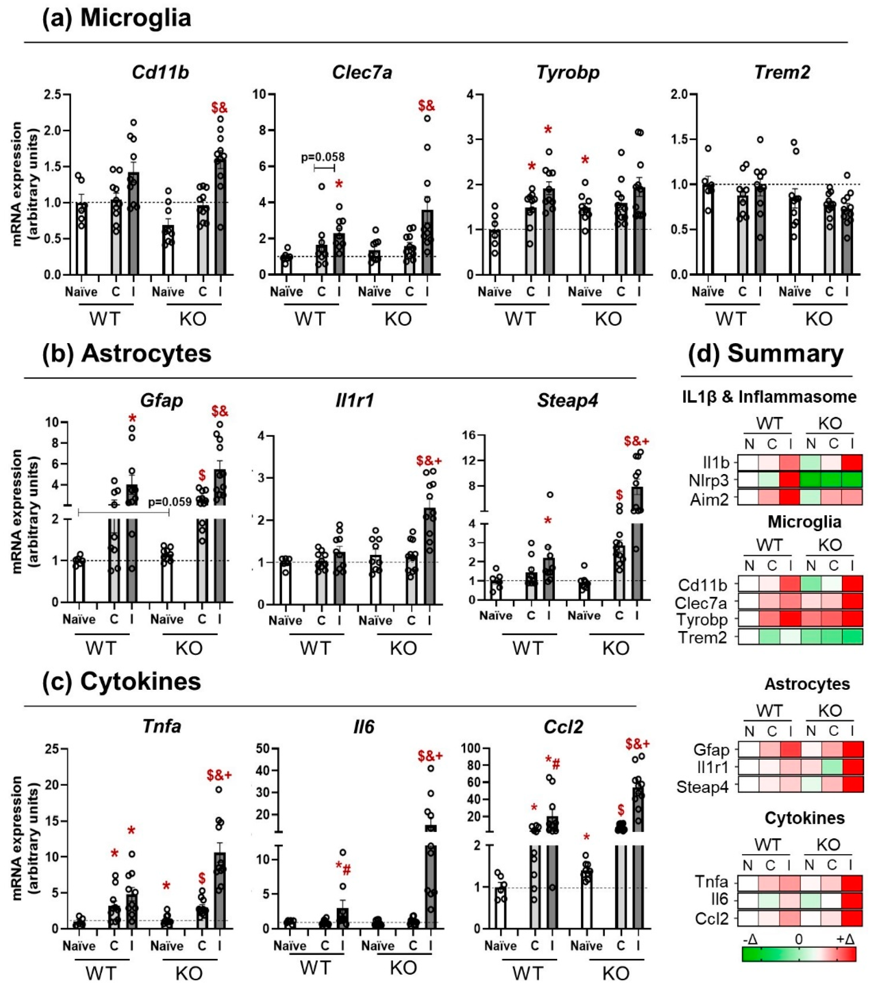 Pharmaceutics 14 01550 g003 550
