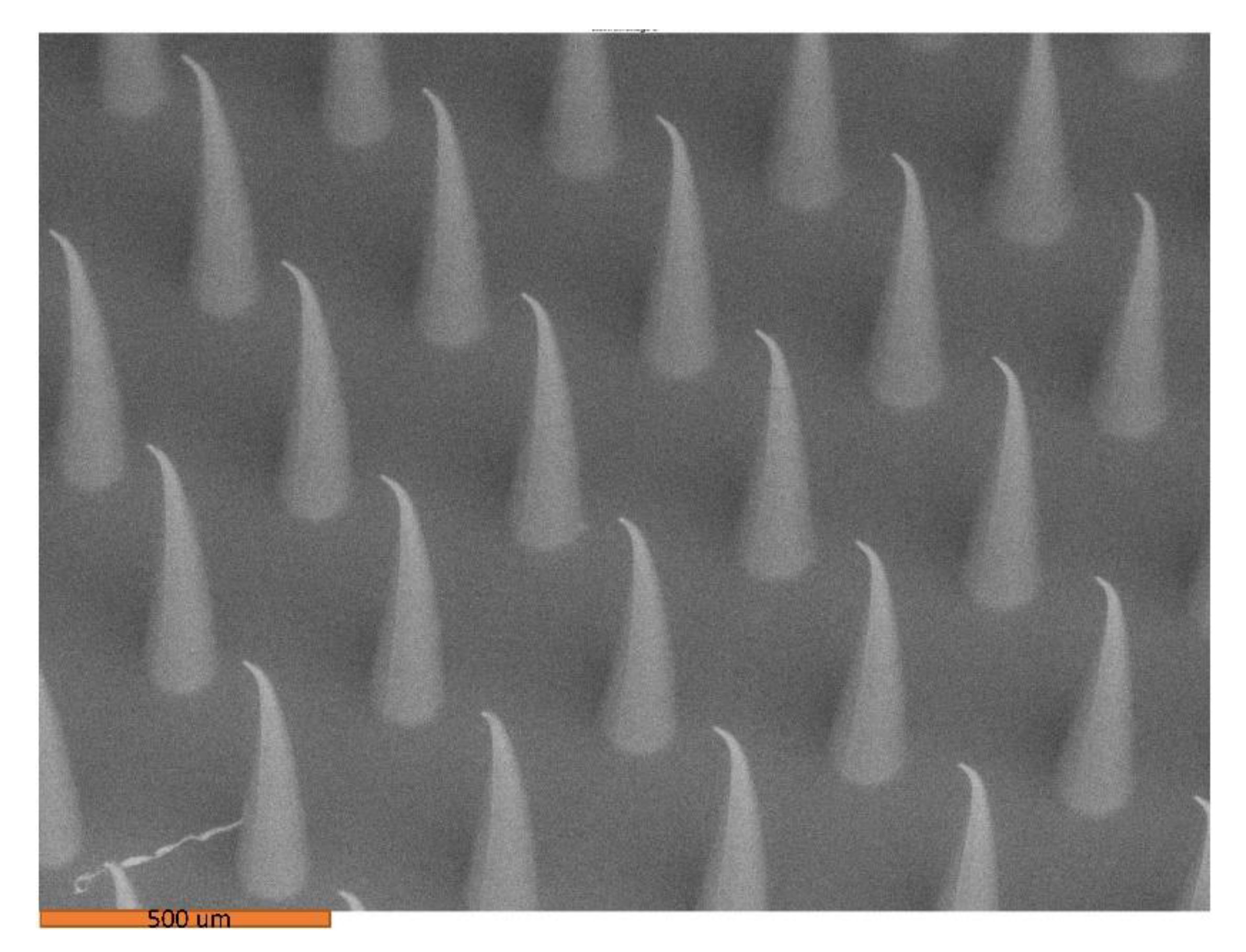 Pharmaceutics 14 01551 g001