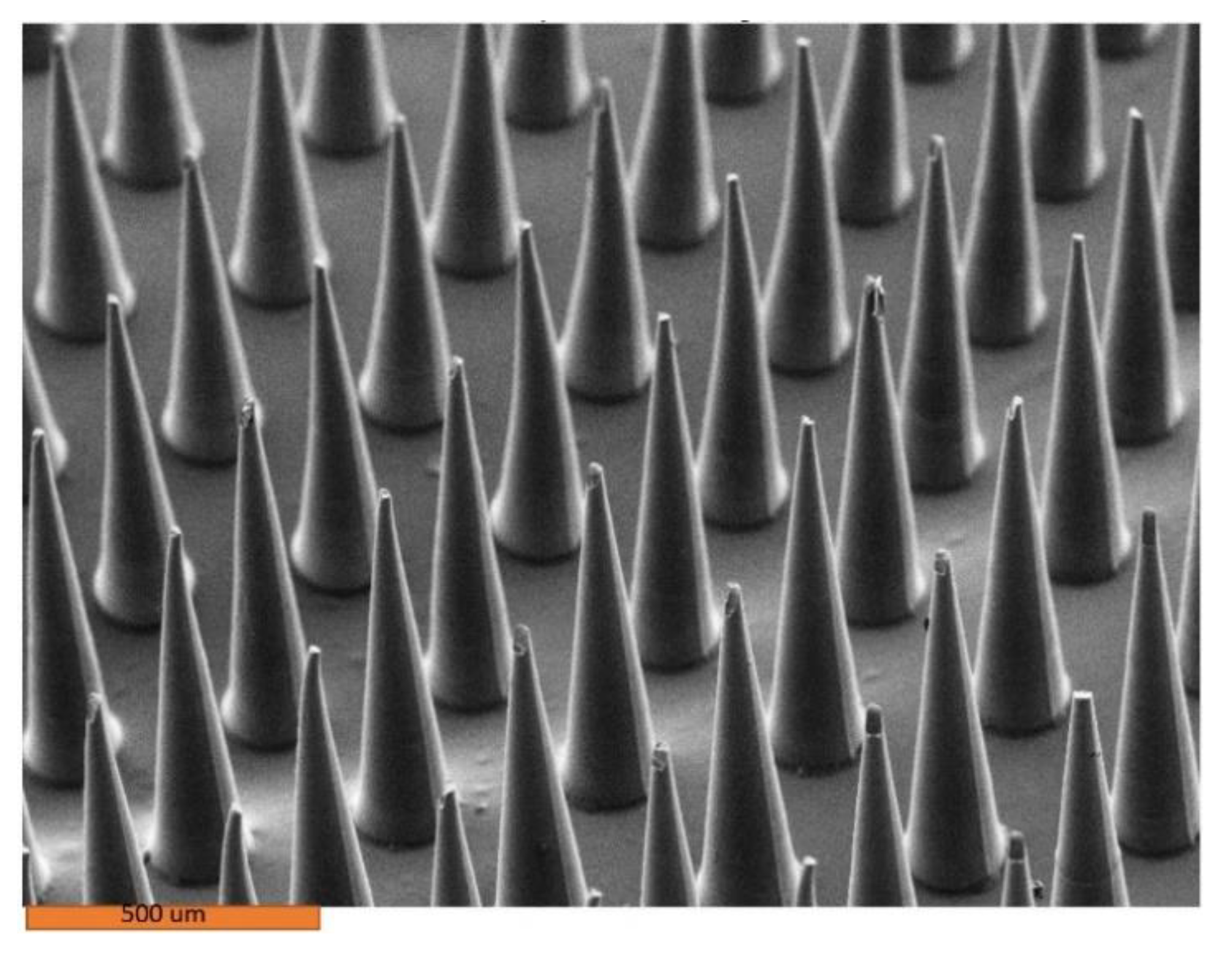 Pharmaceutics 14 01551 g003